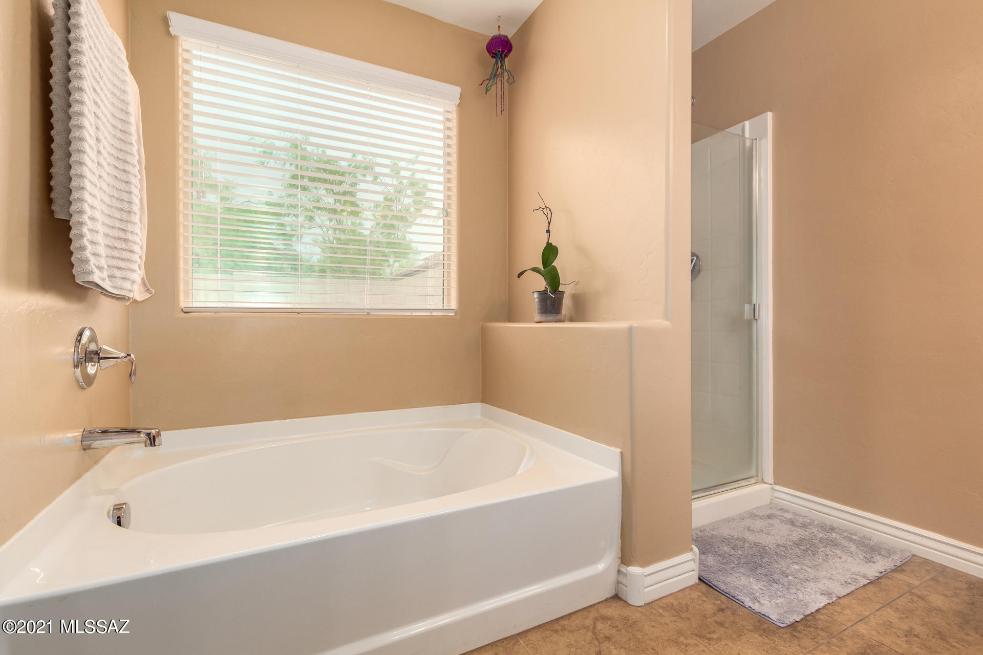 Saguaro Springs Block 8B (131-399) - Residential
