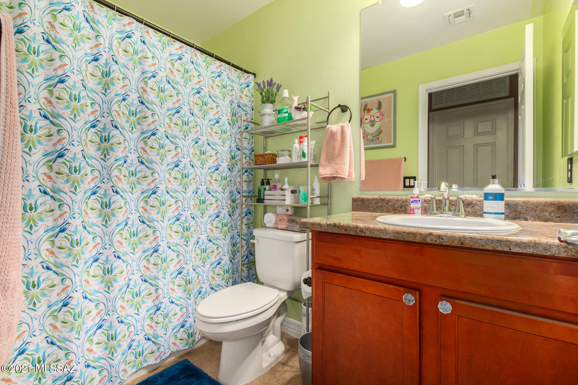 Saguaro Springs Block 8B (131-399) - Residential