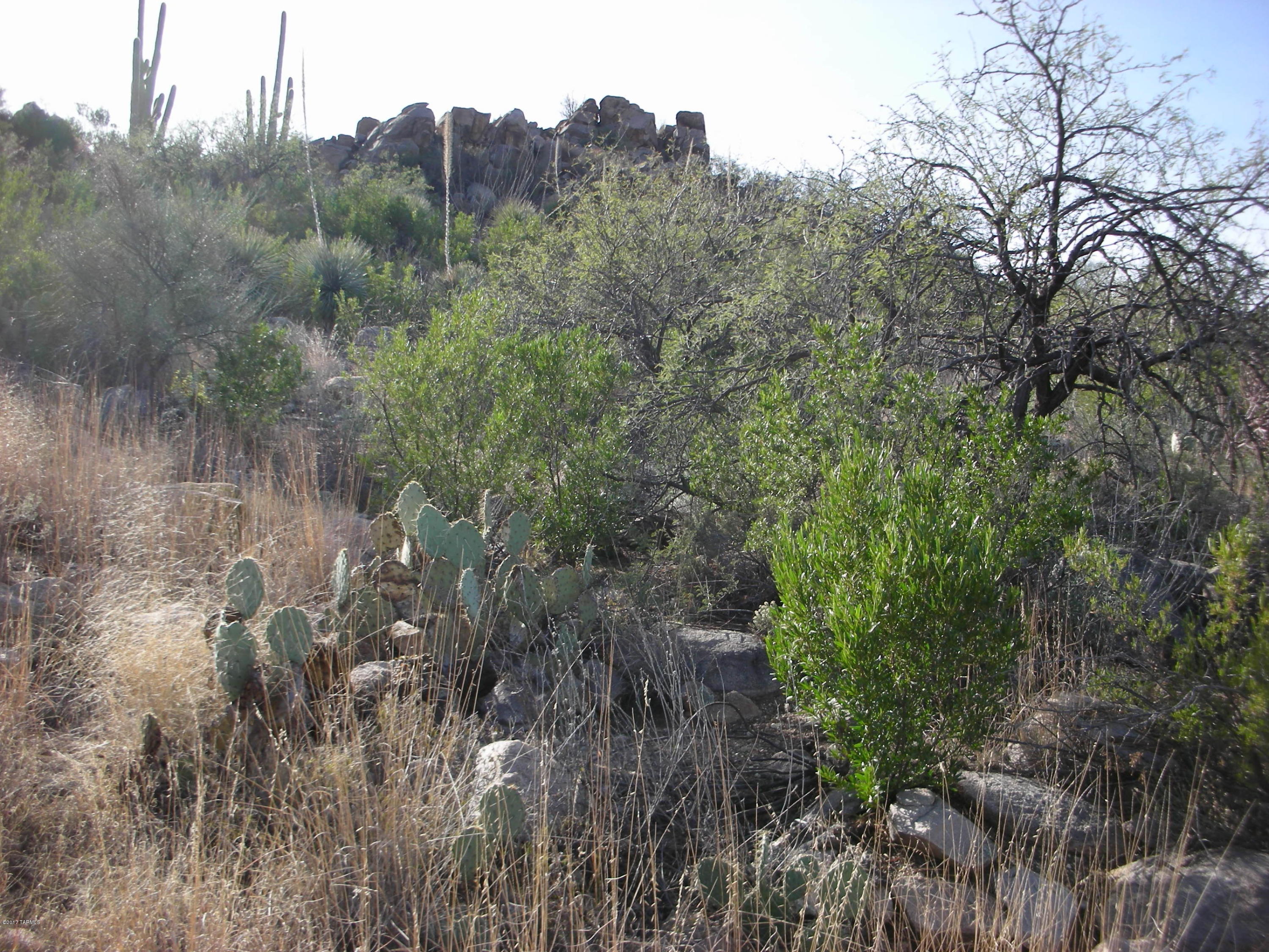 Canyon Pass III At Dove Mountain (111-181) - Land