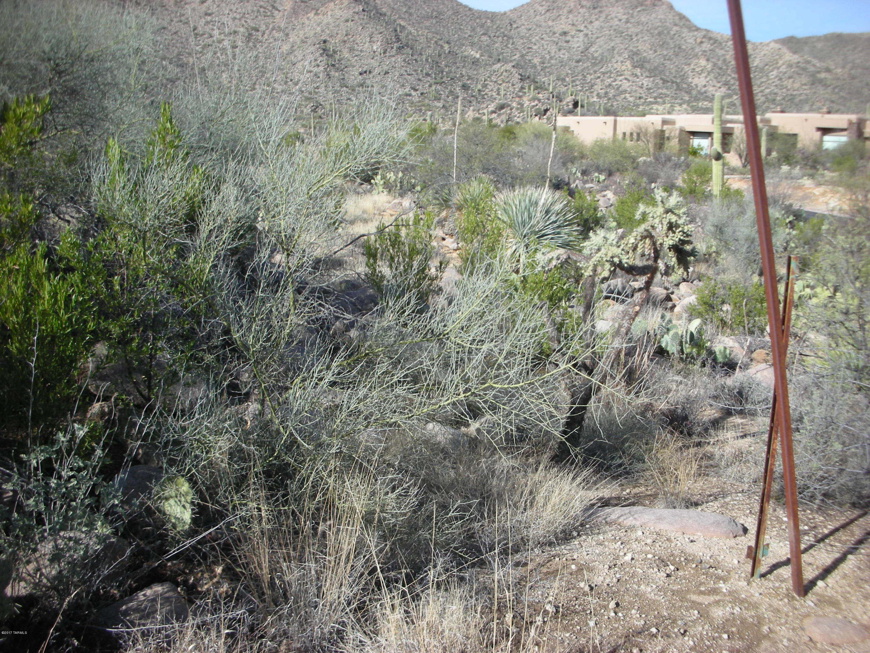 Canyon Pass III At Dove Mountain (111-181) - Land