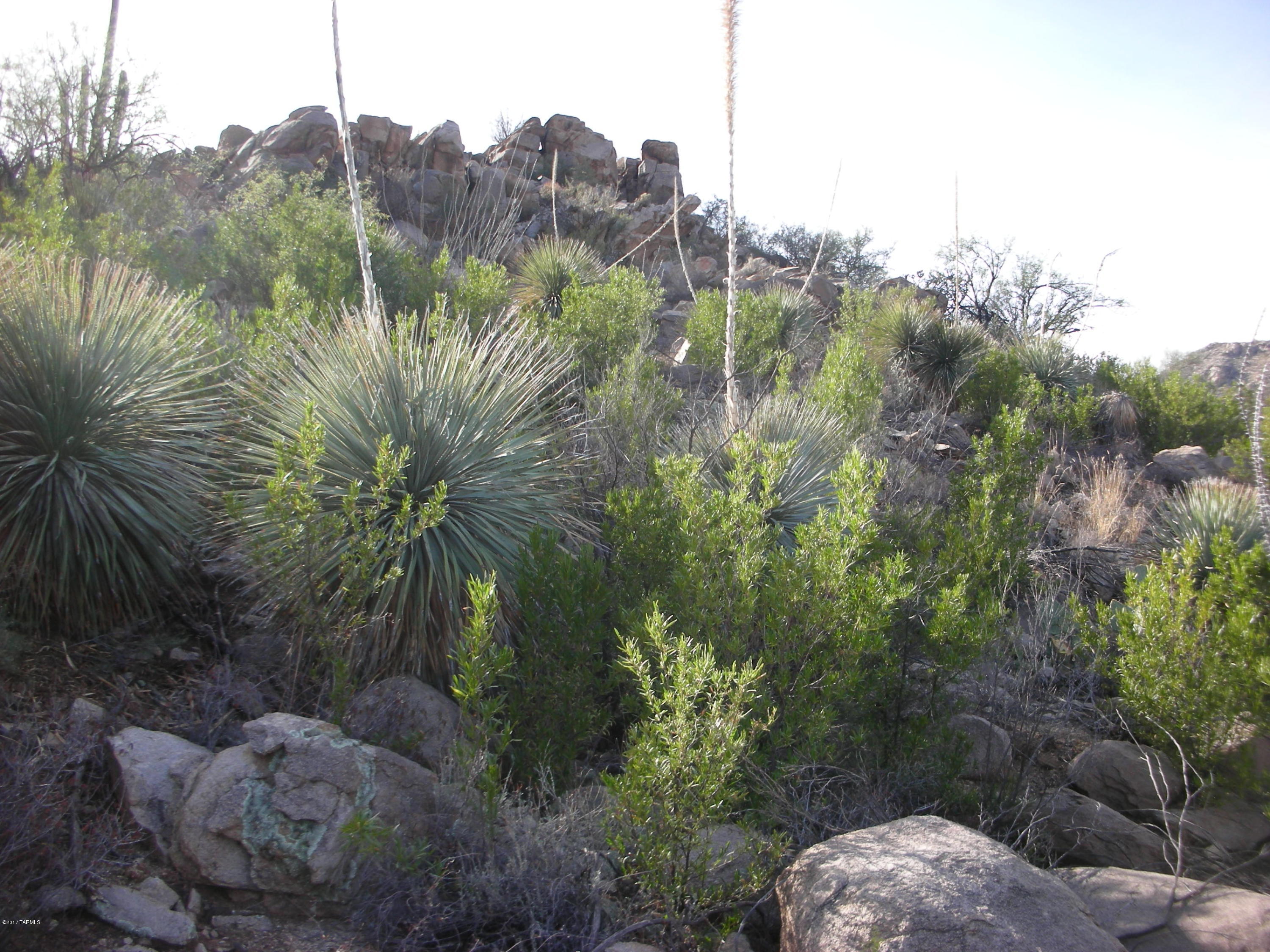Canyon Pass III At Dove Mountain (111-181) - Land