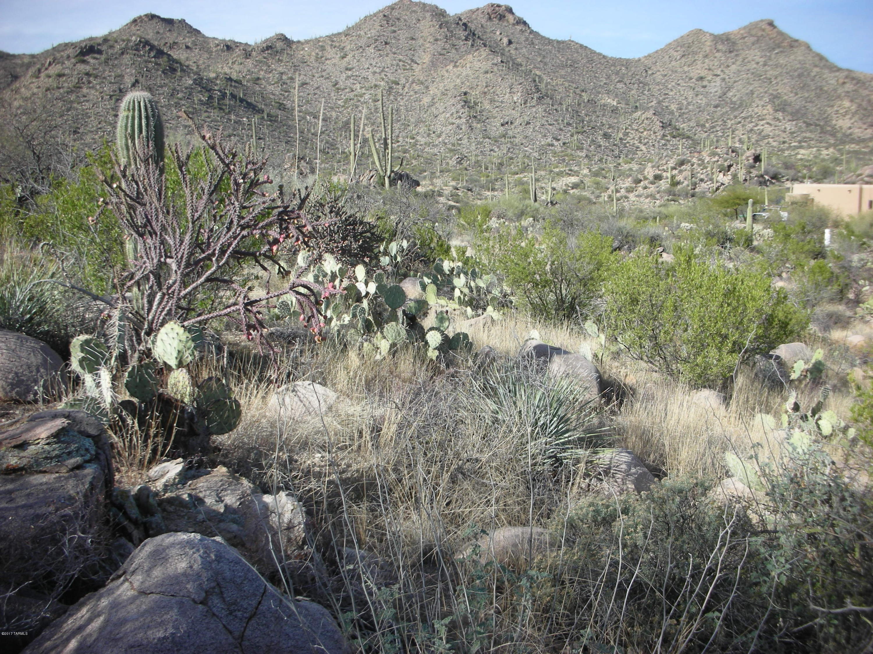 Canyon Pass III At Dove Mountain (111-181) - Land