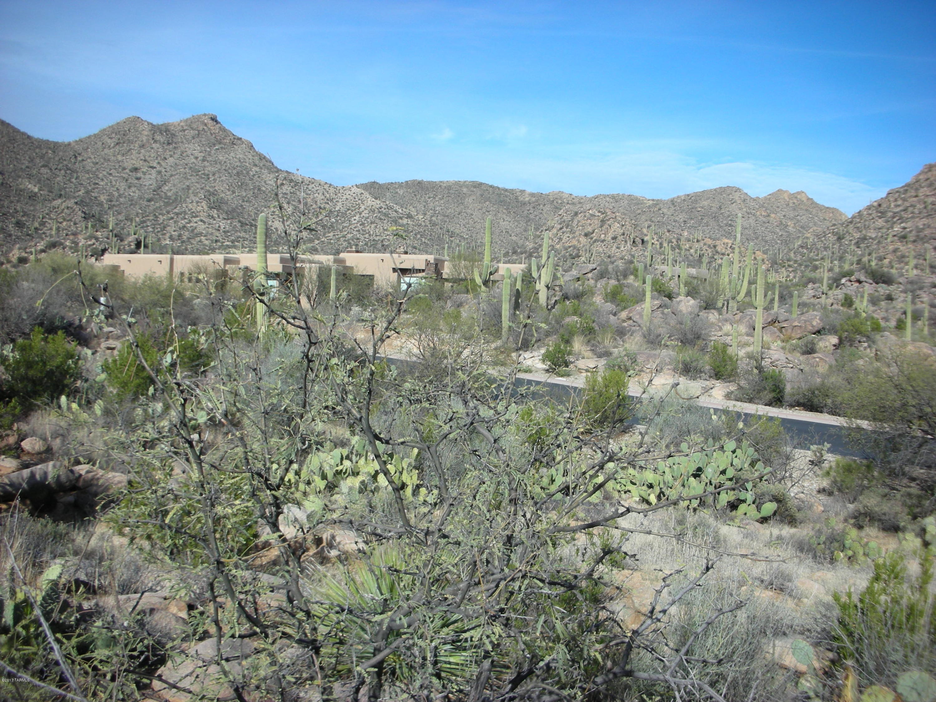 Canyon Pass III At Dove Mountain (111-181) - Land