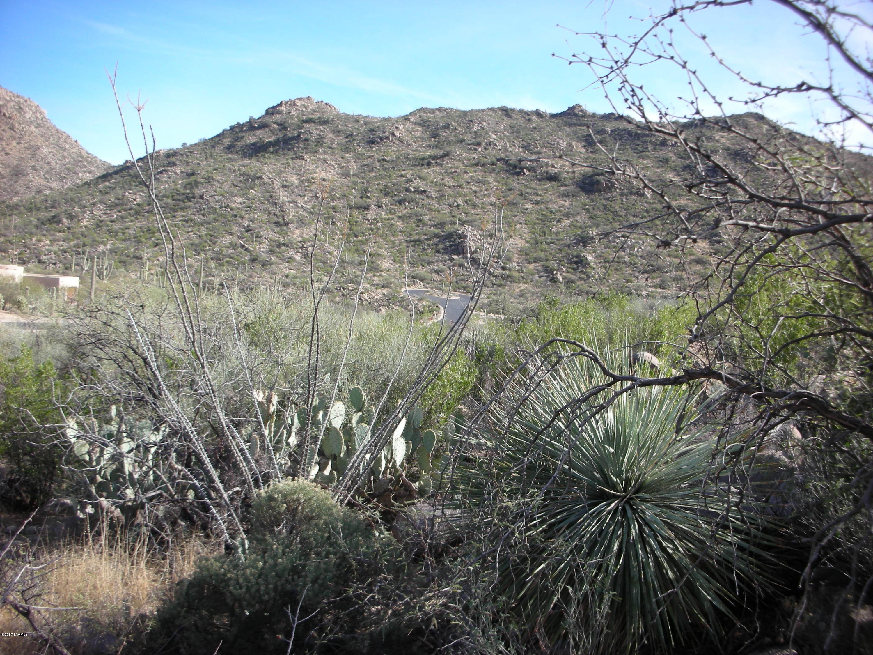 Canyon Pass III At Dove Mountain (111-181) - Land
