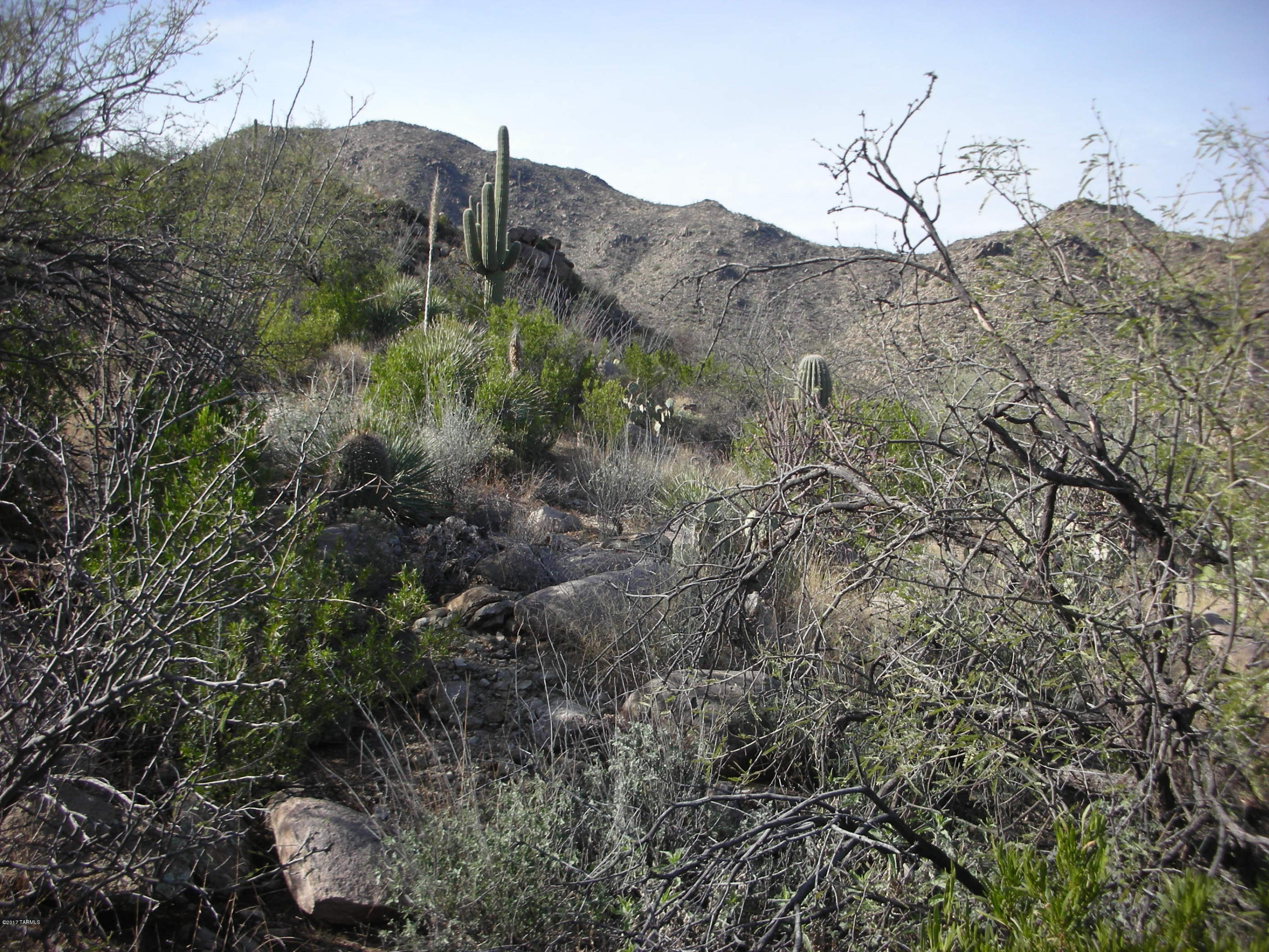 Canyon Pass III At Dove Mountain (111-181) - Land