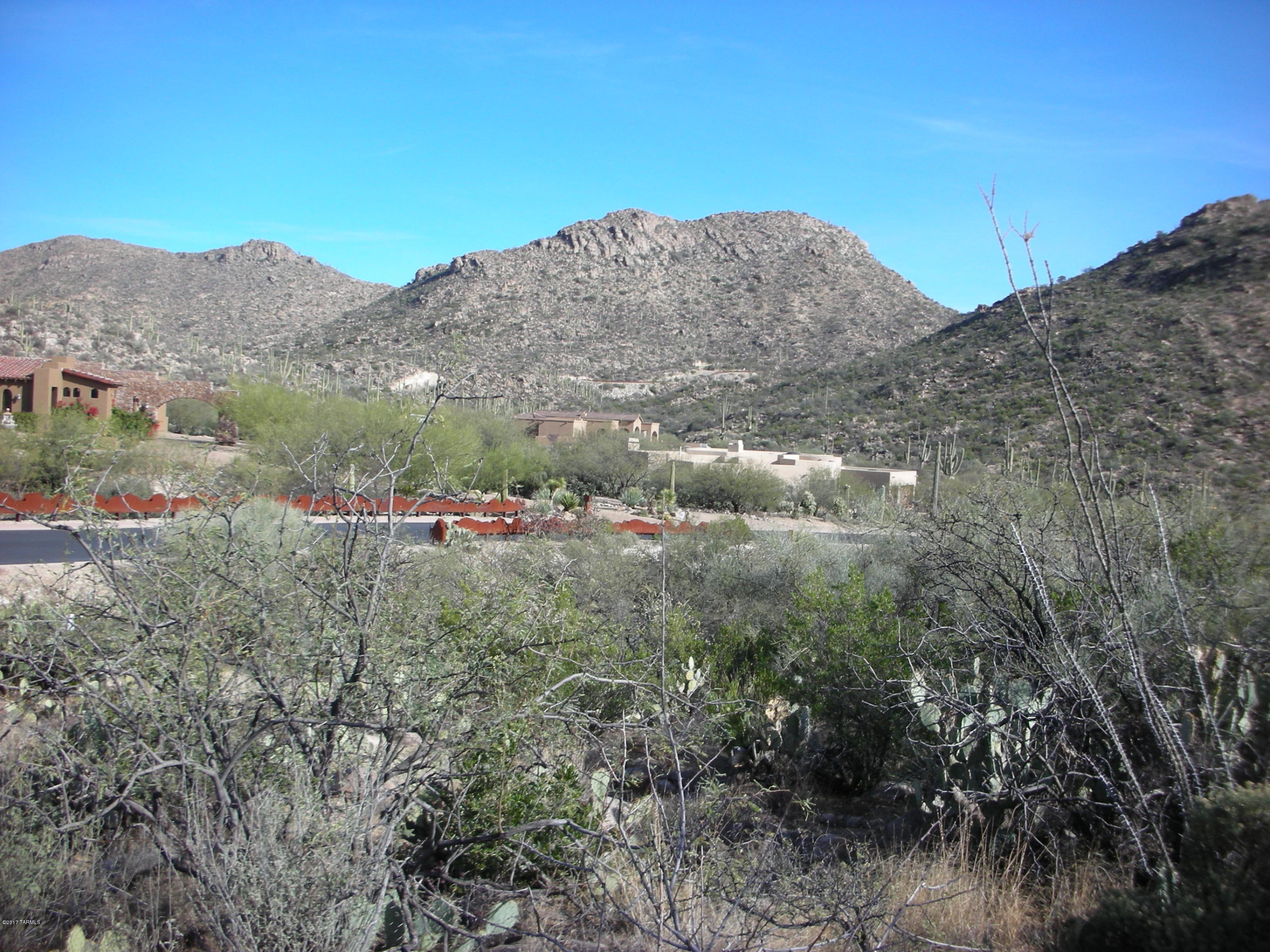 Canyon Pass III At Dove Mountain (111-181) - Land