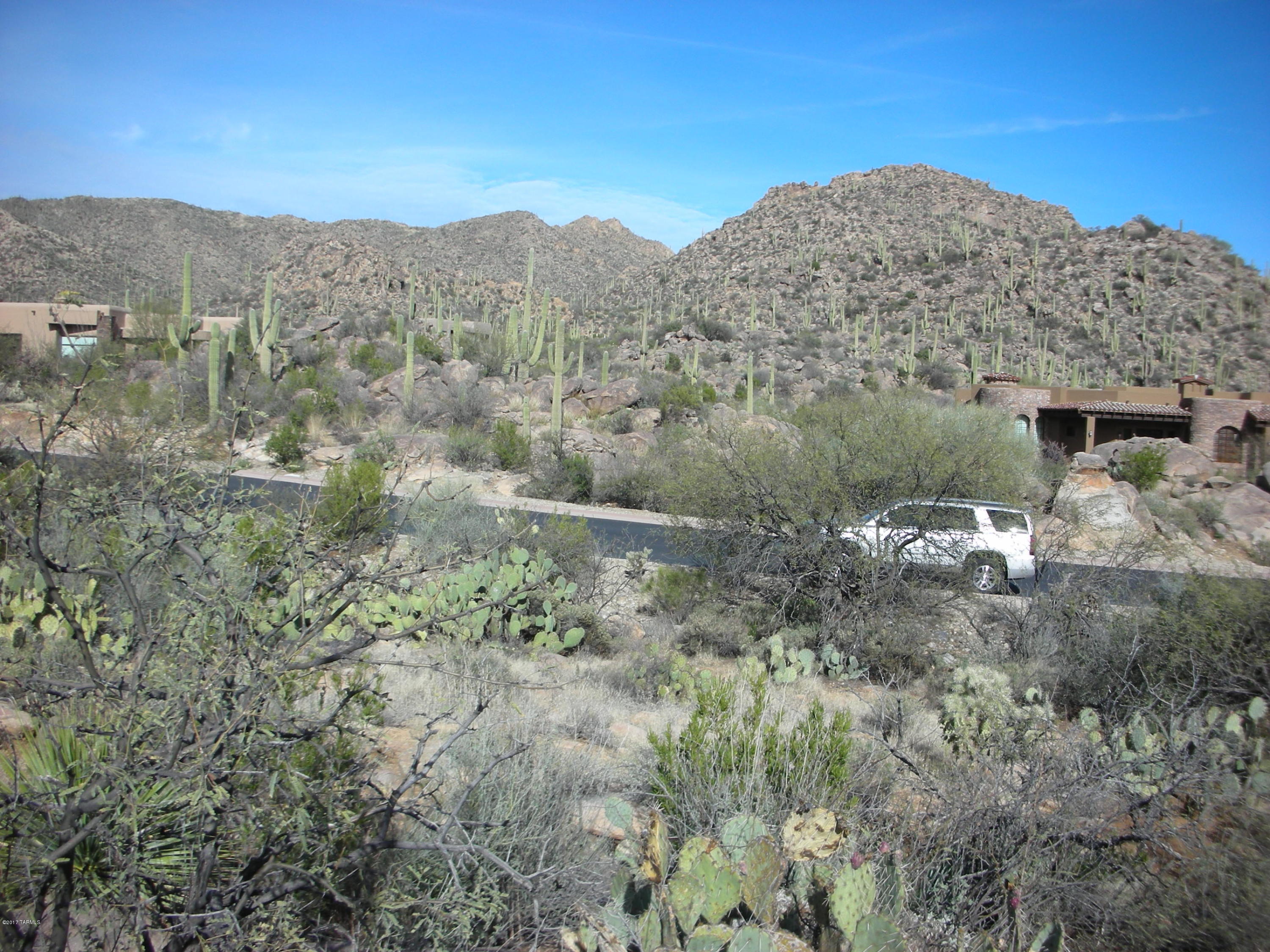 Canyon Pass III At Dove Mountain (111-181) - Land