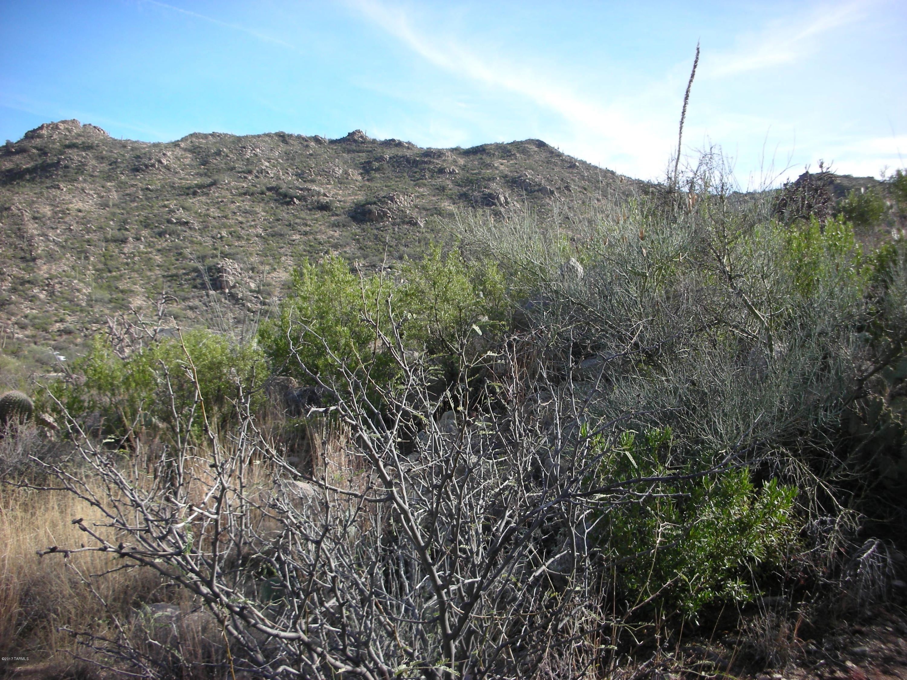 Canyon Pass III At Dove Mountain (111-181) - Land