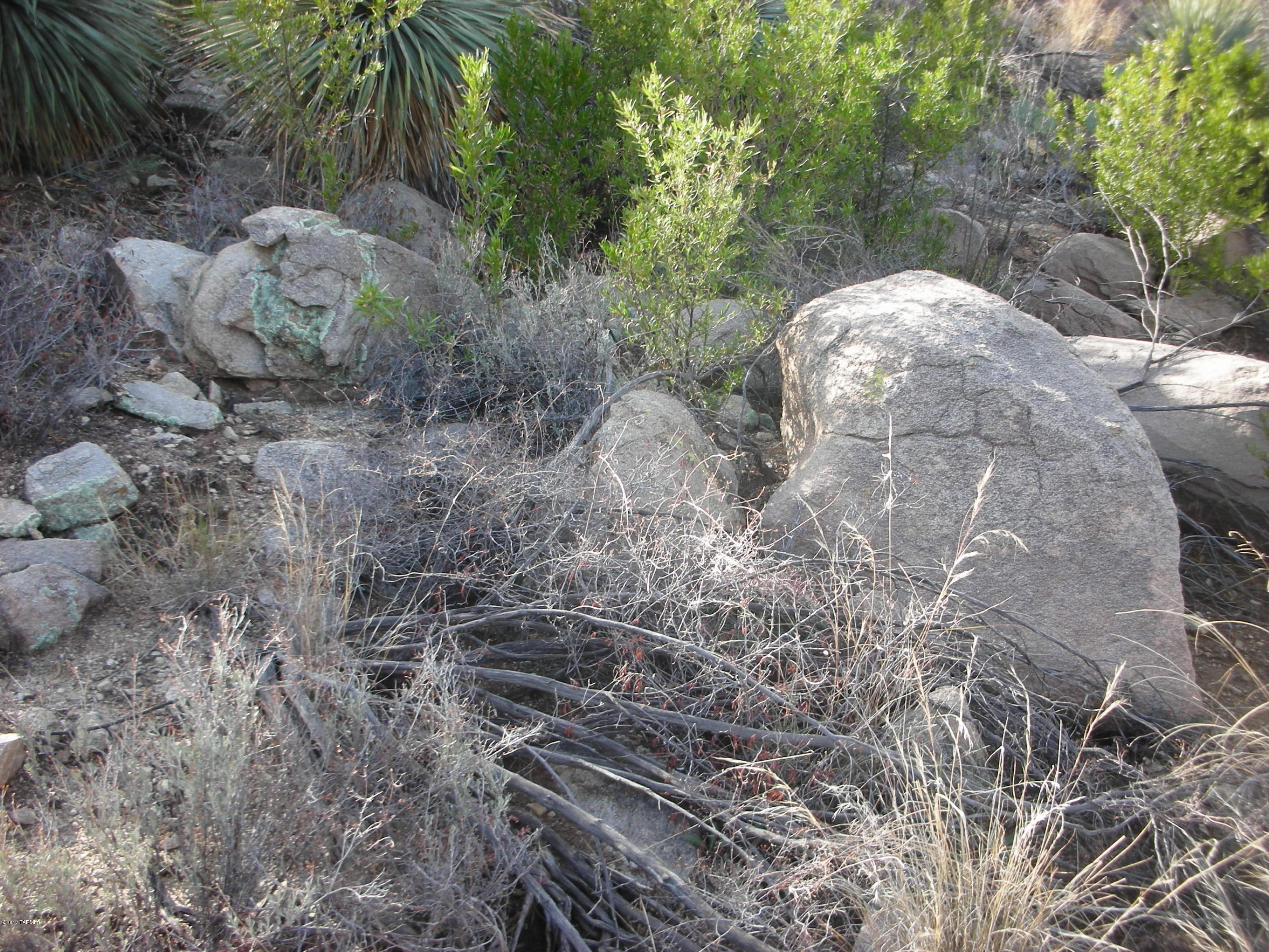 Canyon Pass III At Dove Mountain (111-181) - Land