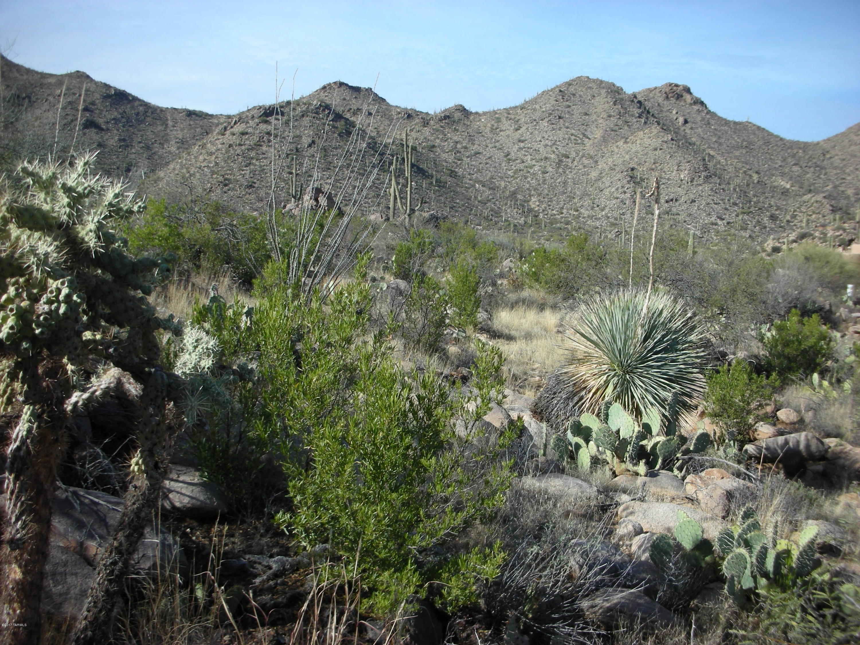Canyon Pass III At Dove Mountain (111-181) - Land