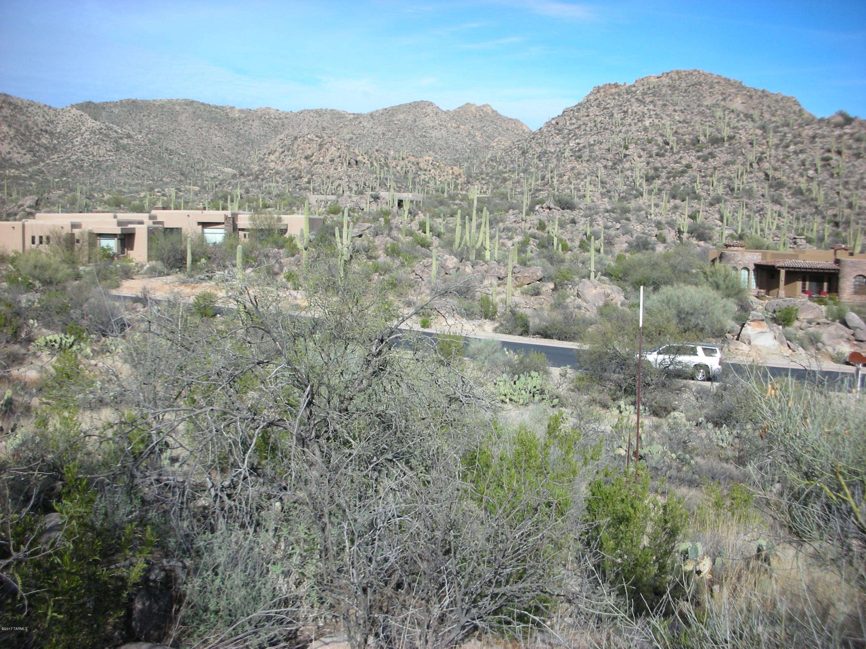 Canyon Pass III At Dove Mountain (111-181) - Land