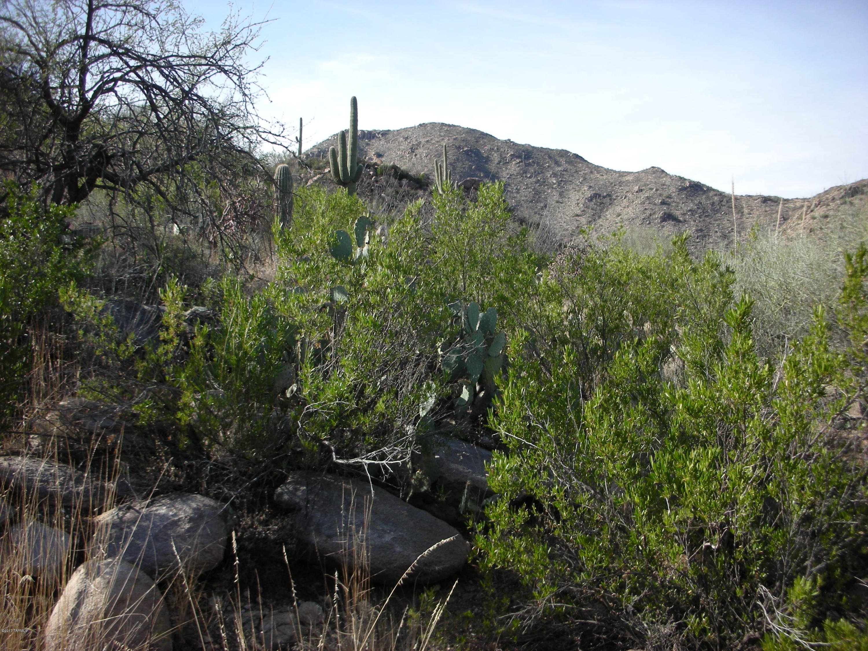 Canyon Pass III At Dove Mountain (111-181) - Land