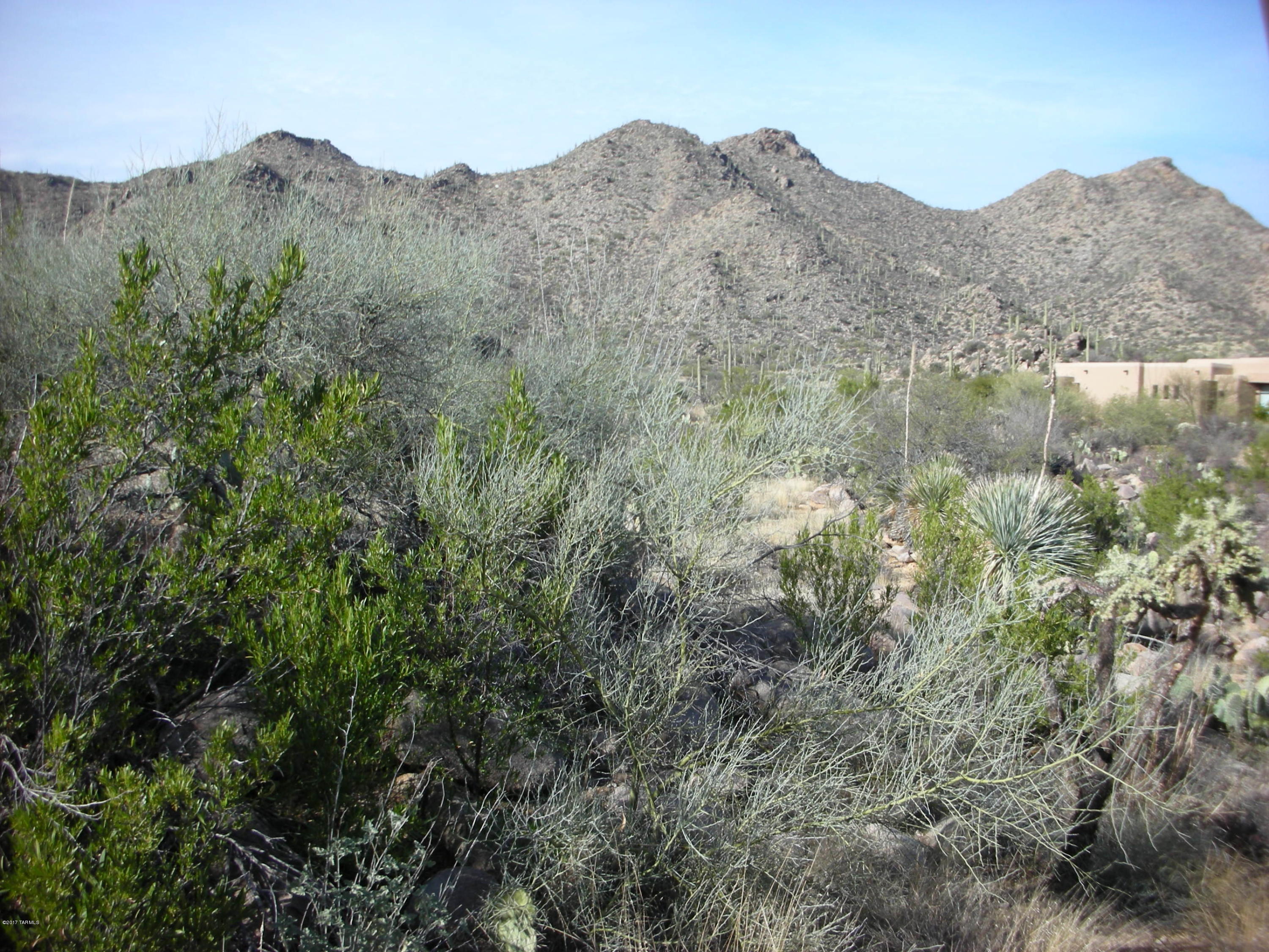 Canyon Pass III At Dove Mountain (111-181) - Land