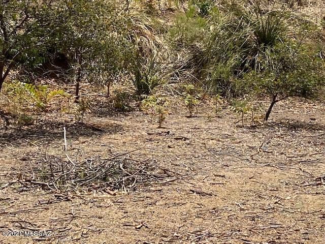 Los Robles Estates - Land