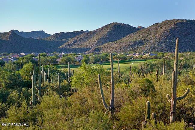 Heritage Highlands III at Dove Mountain (542-719) - Residential