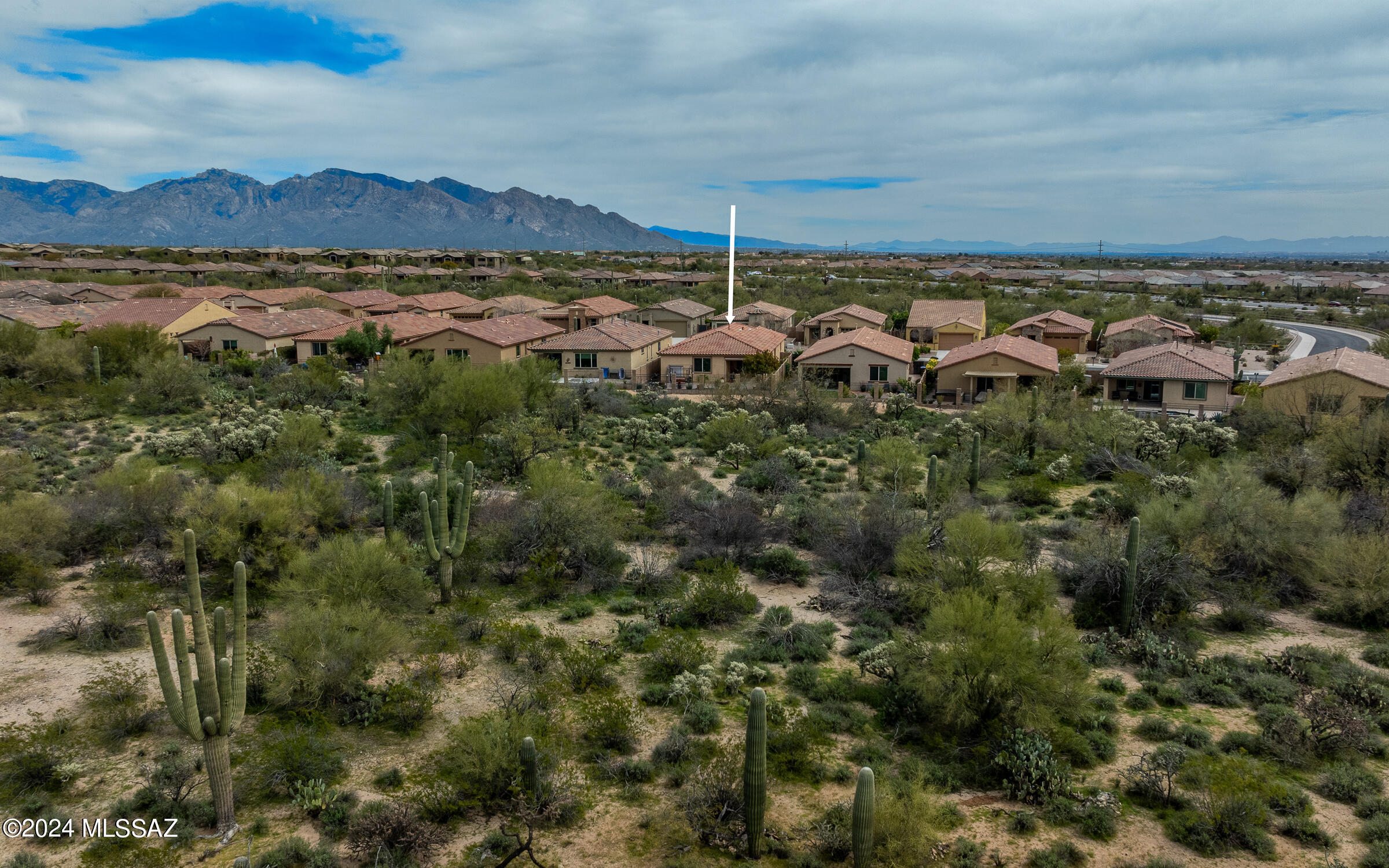 Preserve IV at Dove Mountain (487-529, 535-576, 606-650) - Residential