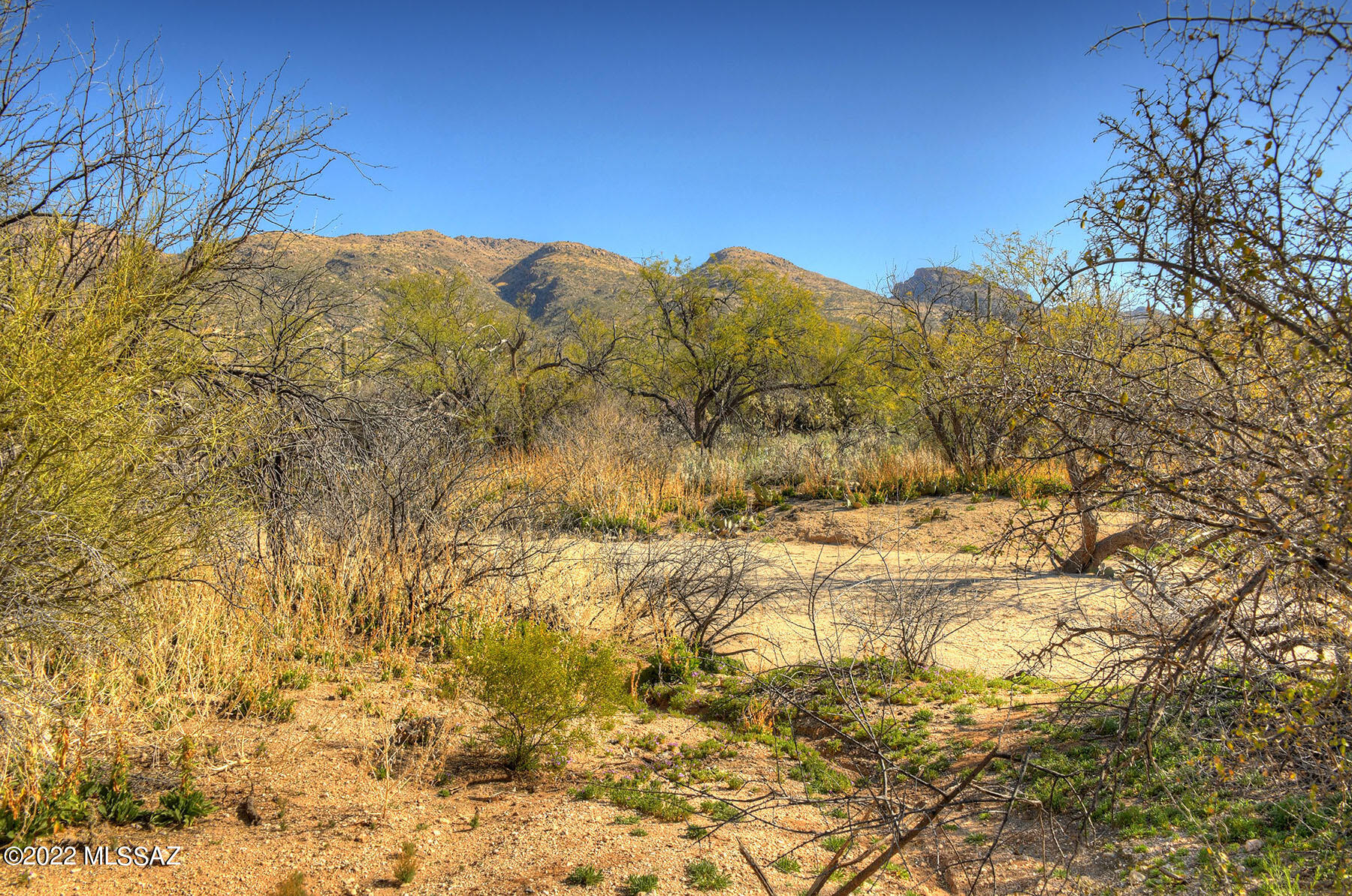 Elin Ranch - Land