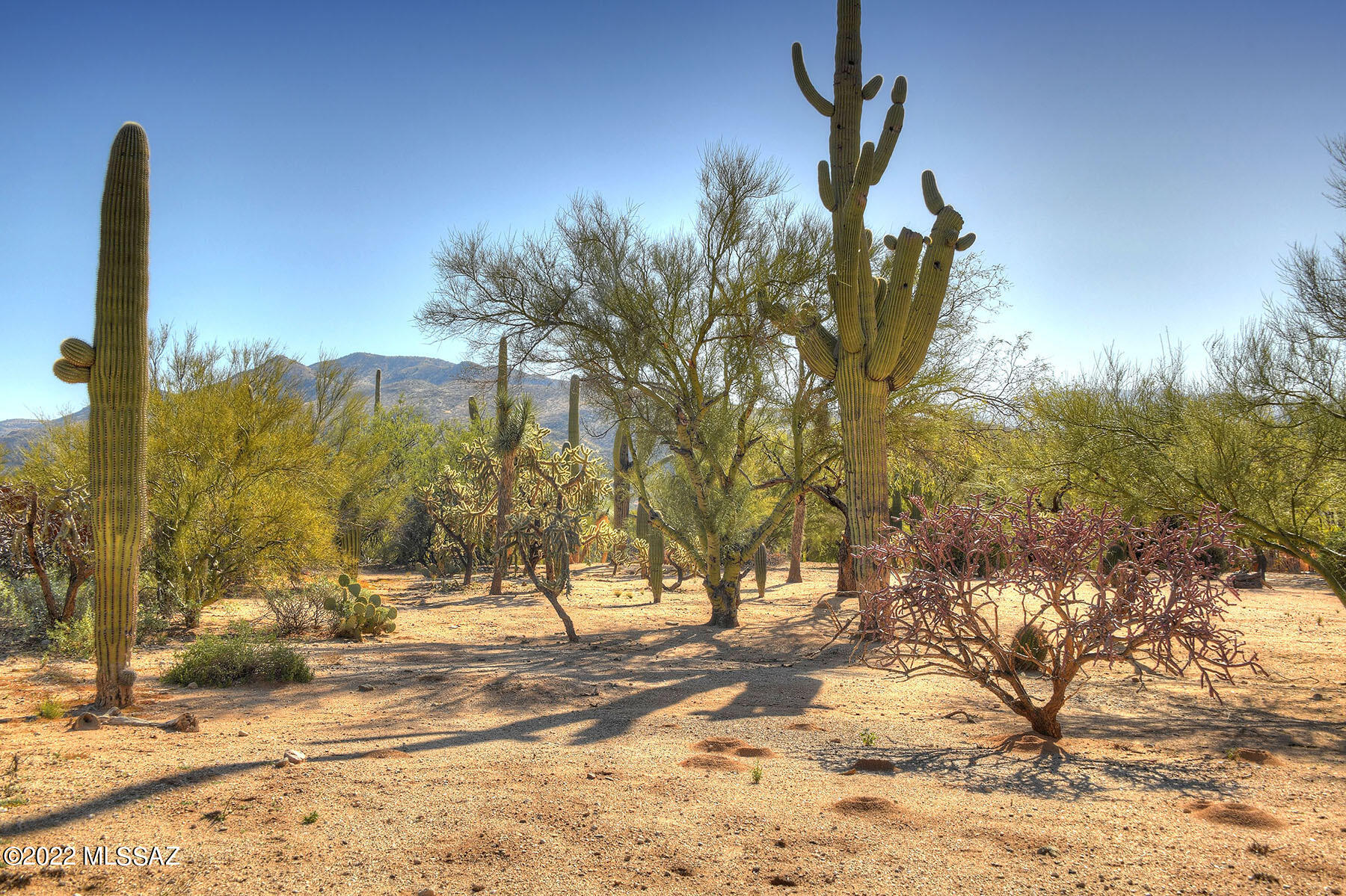 Elin Ranch - Land