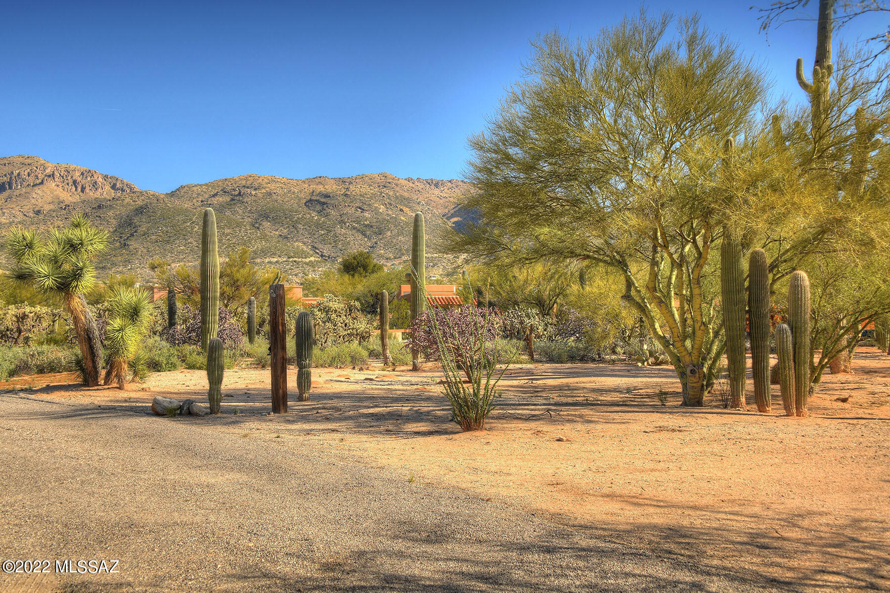 Elin Ranch - Land