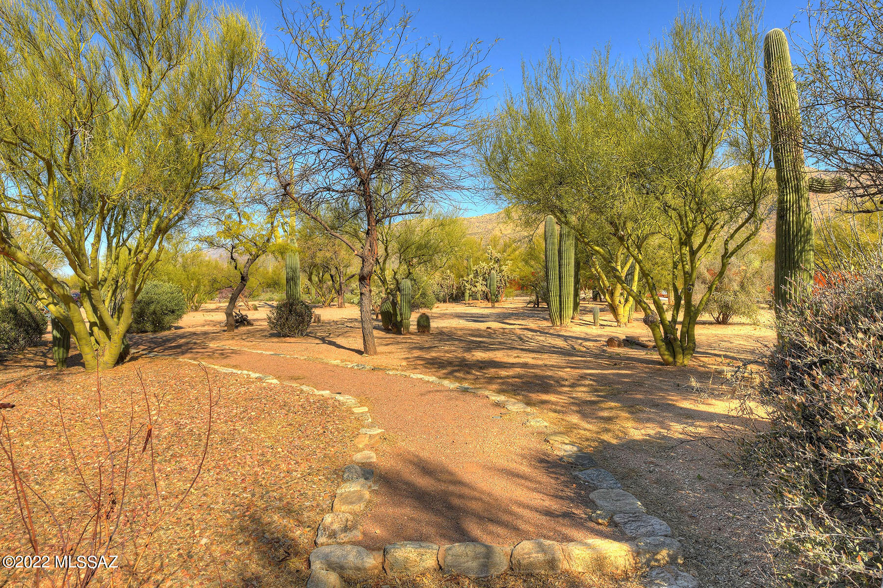Elin Ranch - Land