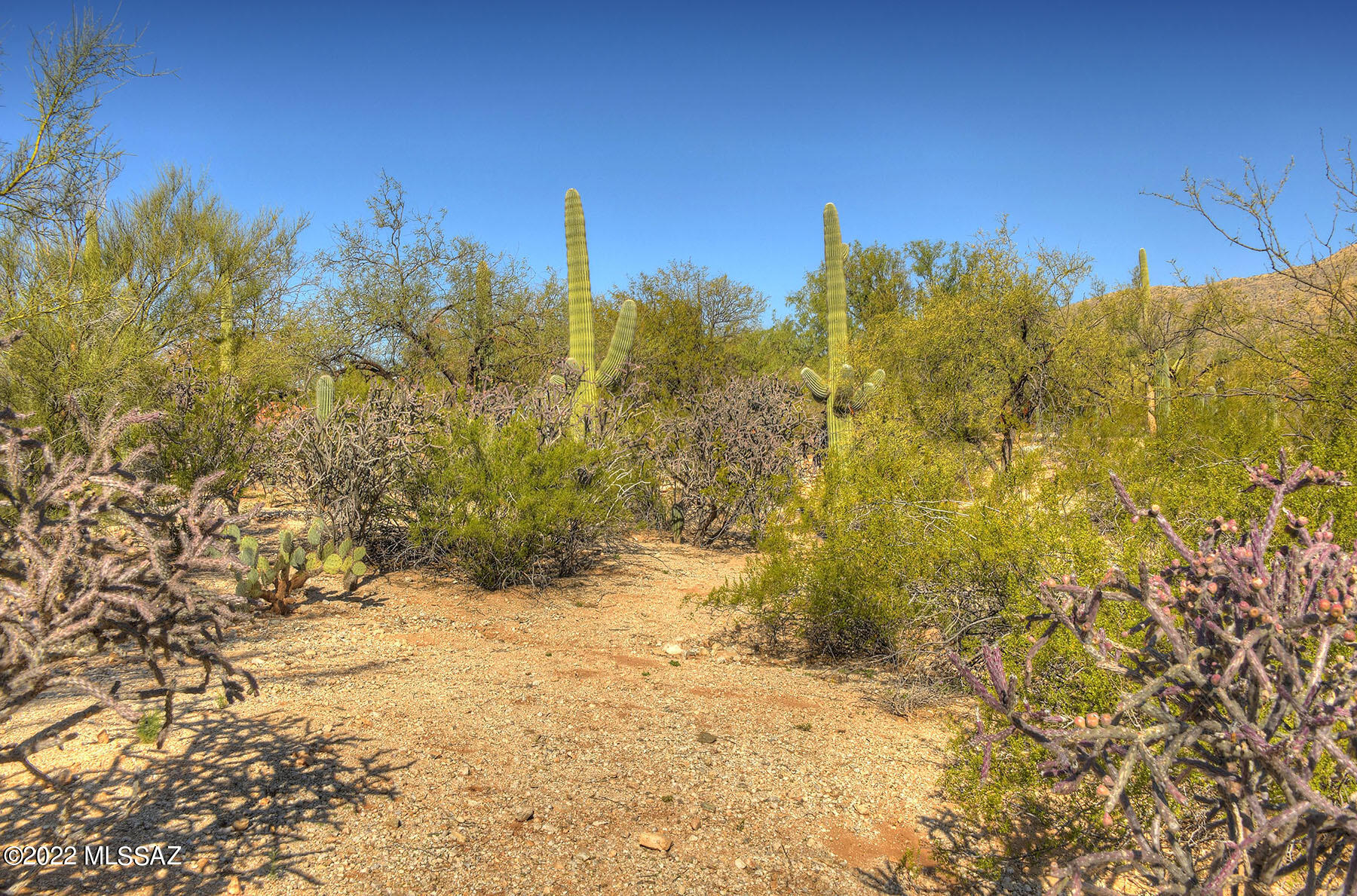 Elin Ranch - Land