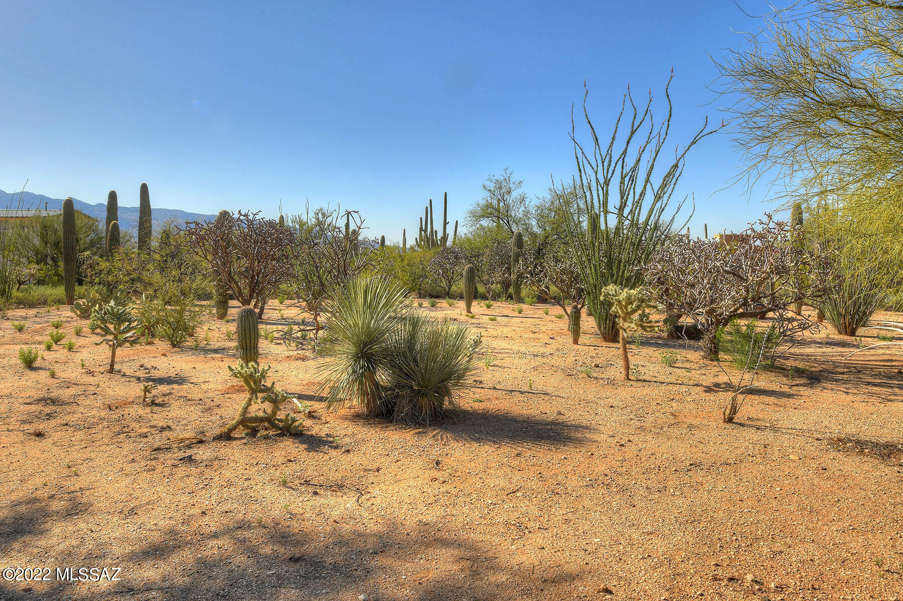 Elin Ranch - Land