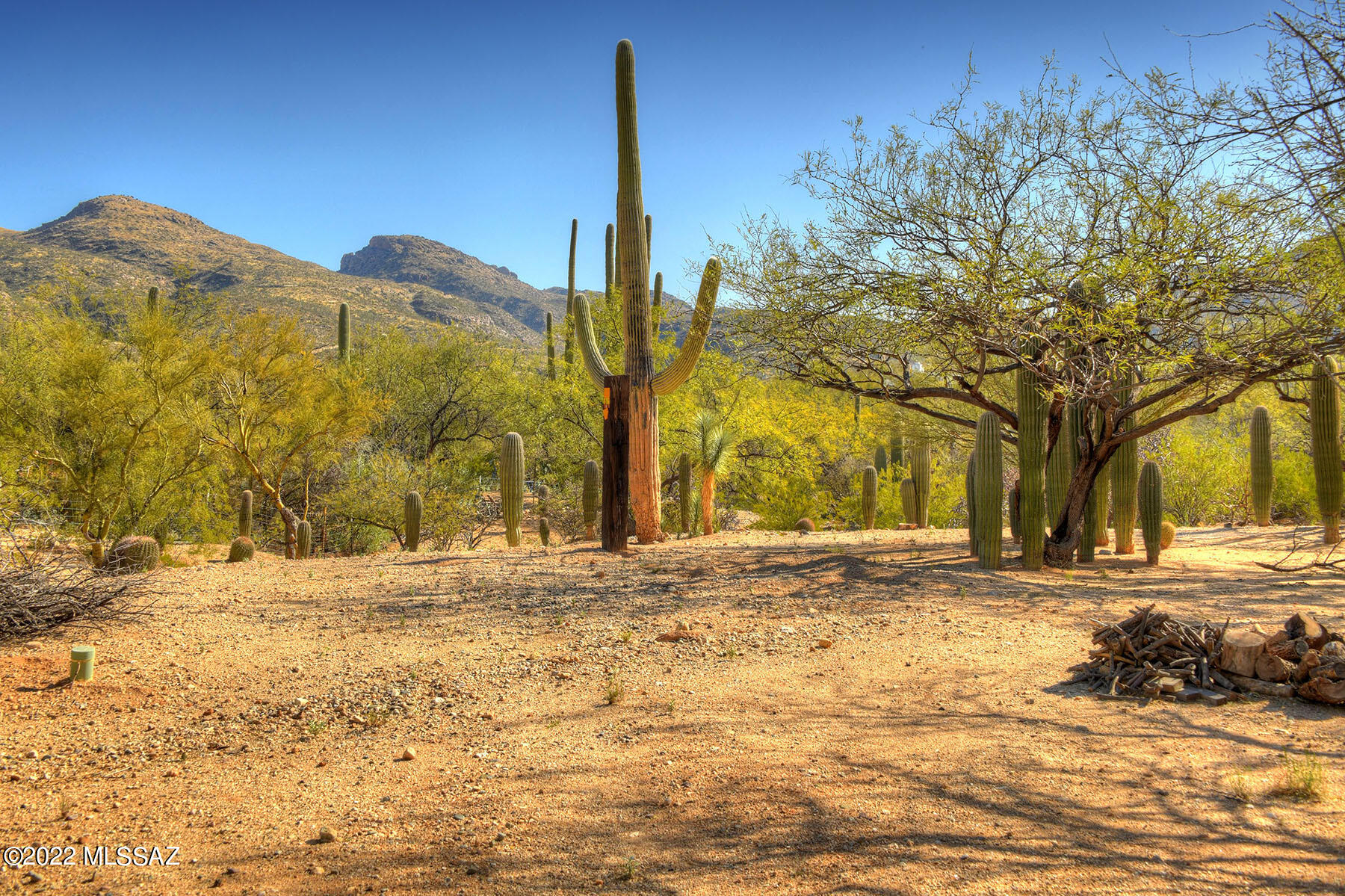 Elin Ranch - Land