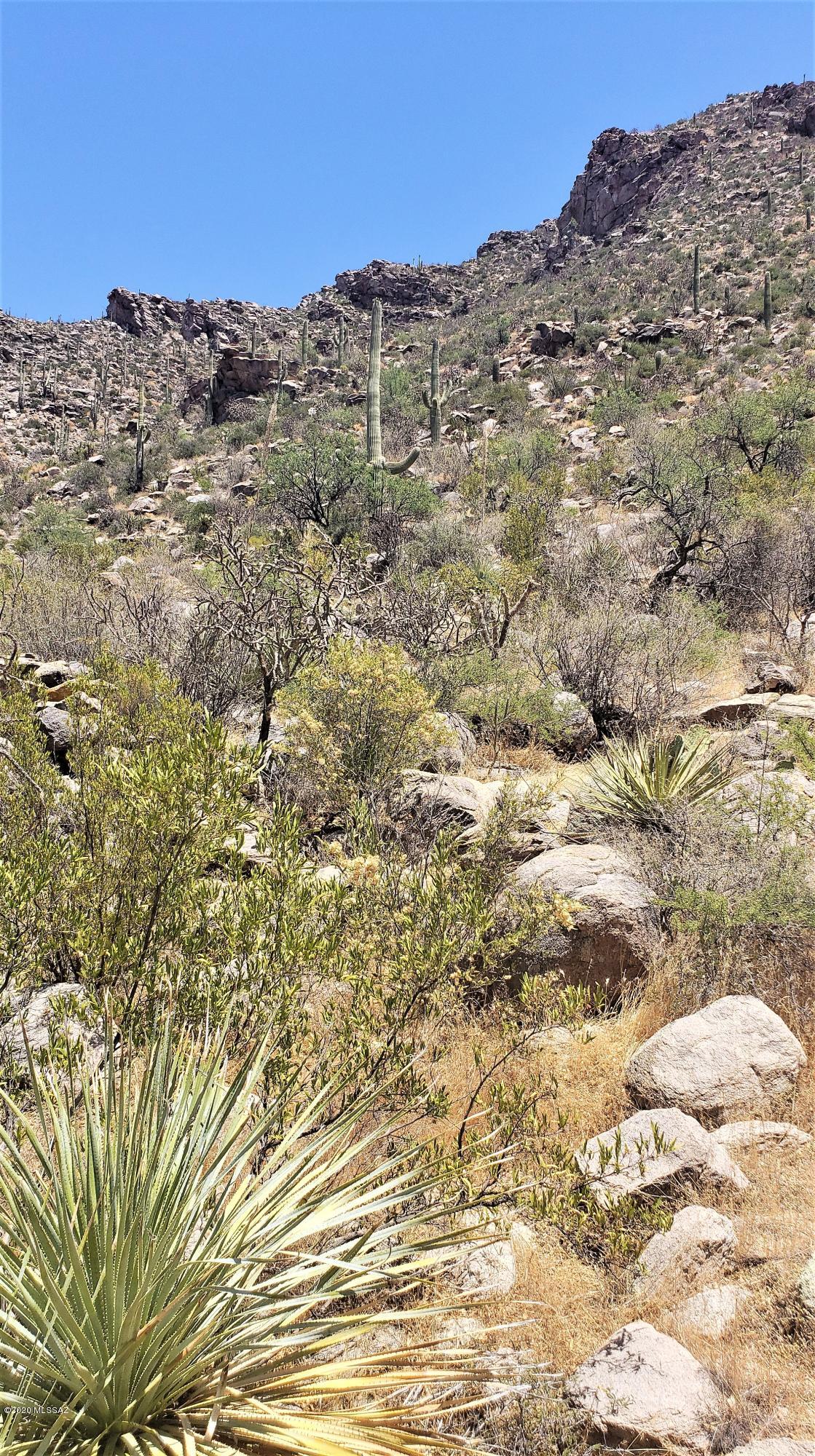 Canyon Pass II At Dove Mountain (49-110) - Land