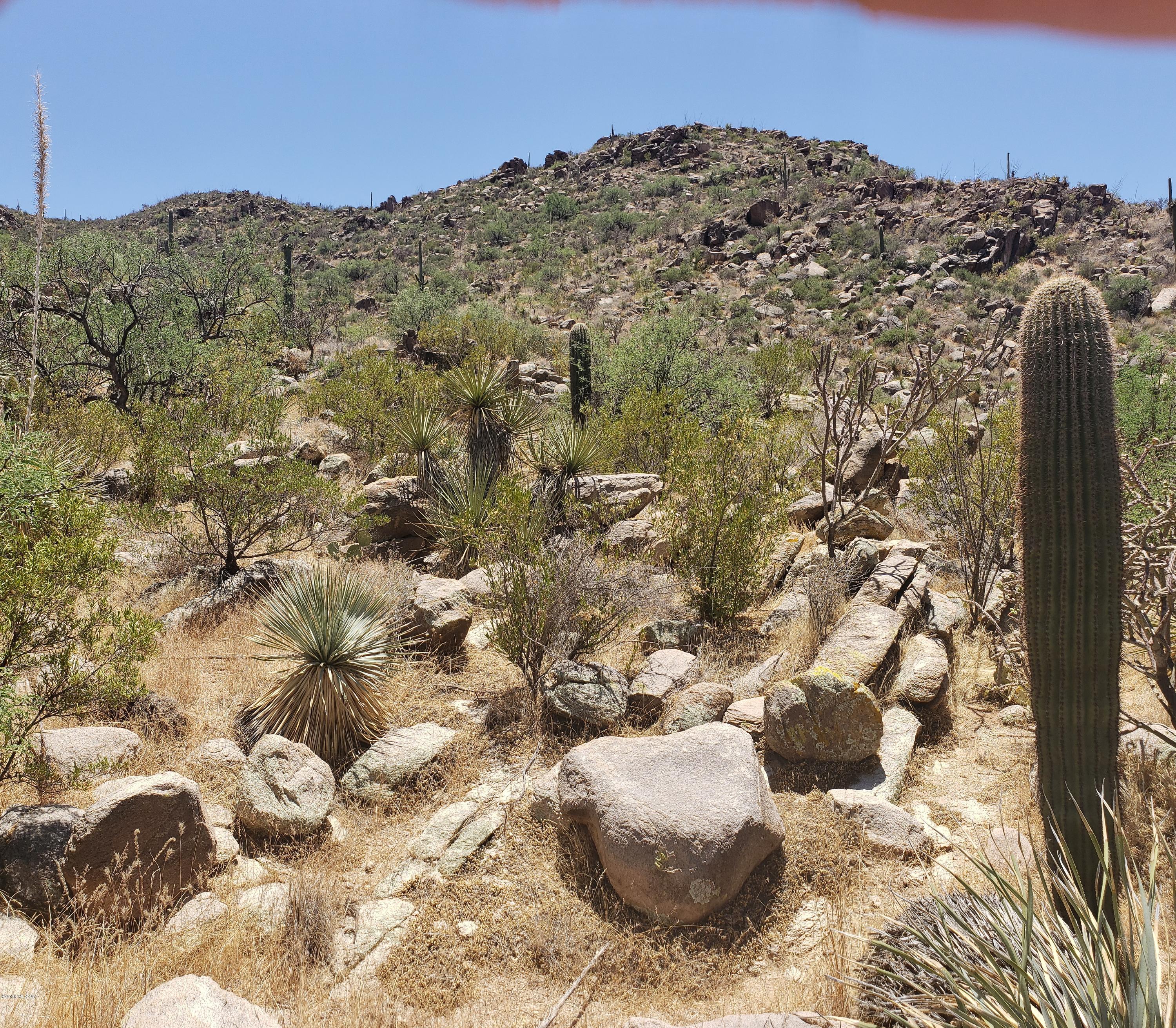 Canyon Pass II At Dove Mountain (49-110) - Land