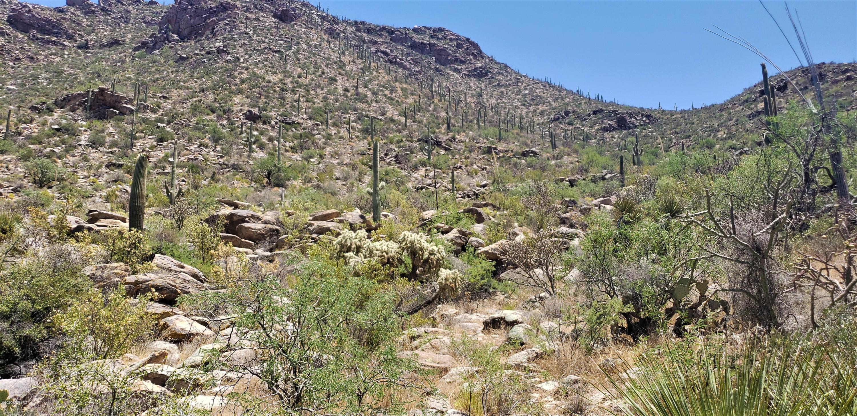 Canyon Pass II At Dove Mountain (49-110) - Land