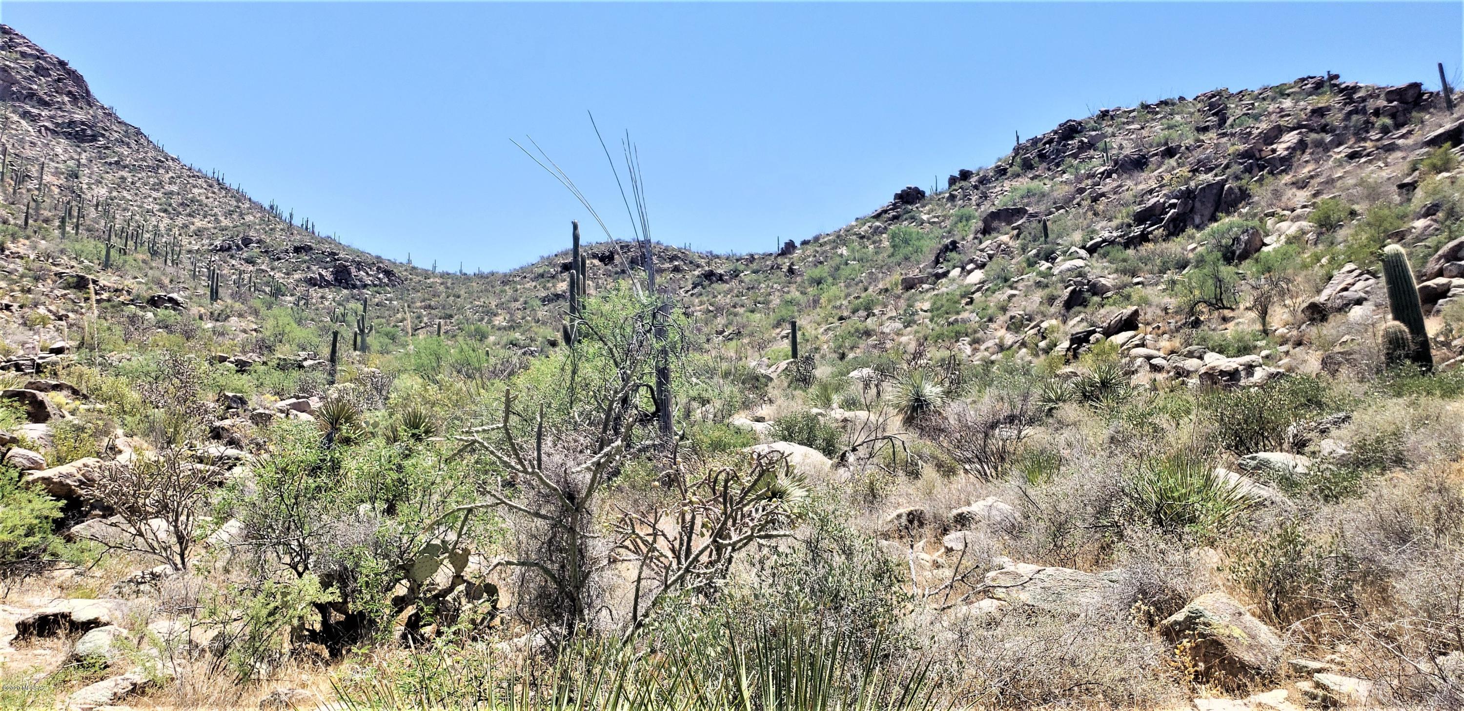 Canyon Pass II At Dove Mountain (49-110) - Land