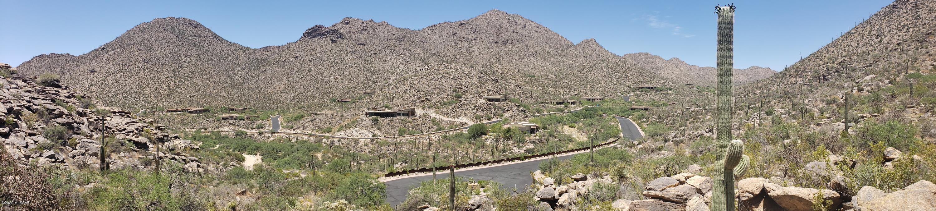 Canyon Pass II At Dove Mountain (49-110) - Land