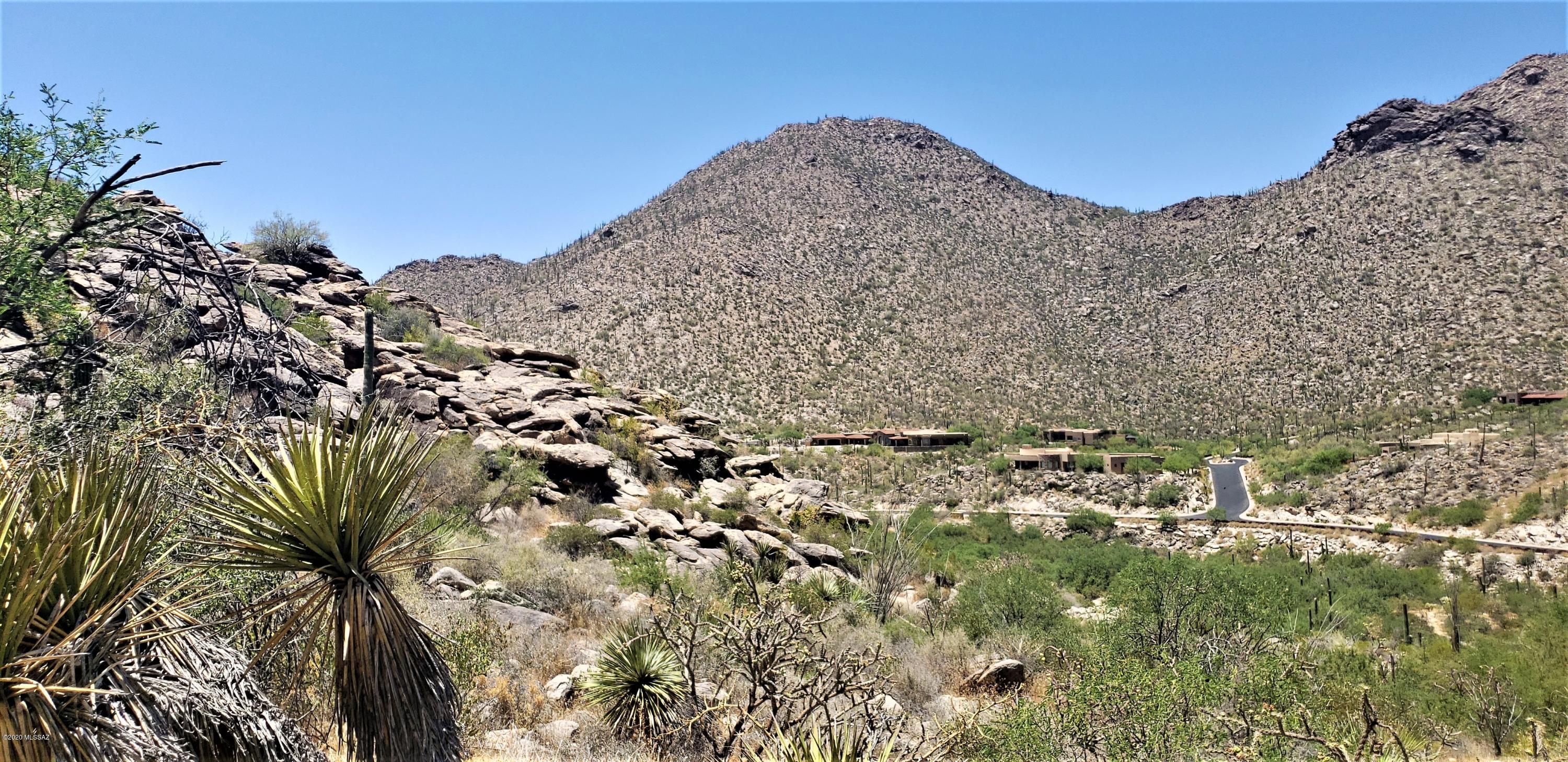 Canyon Pass II At Dove Mountain (49-110) - Land