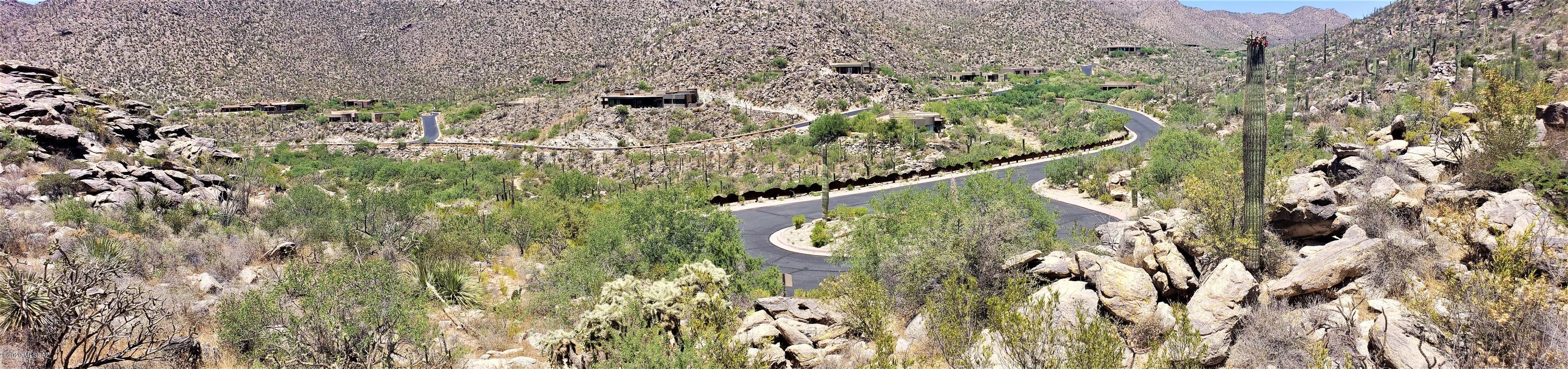 Canyon Pass II At Dove Mountain (49-110) - Land