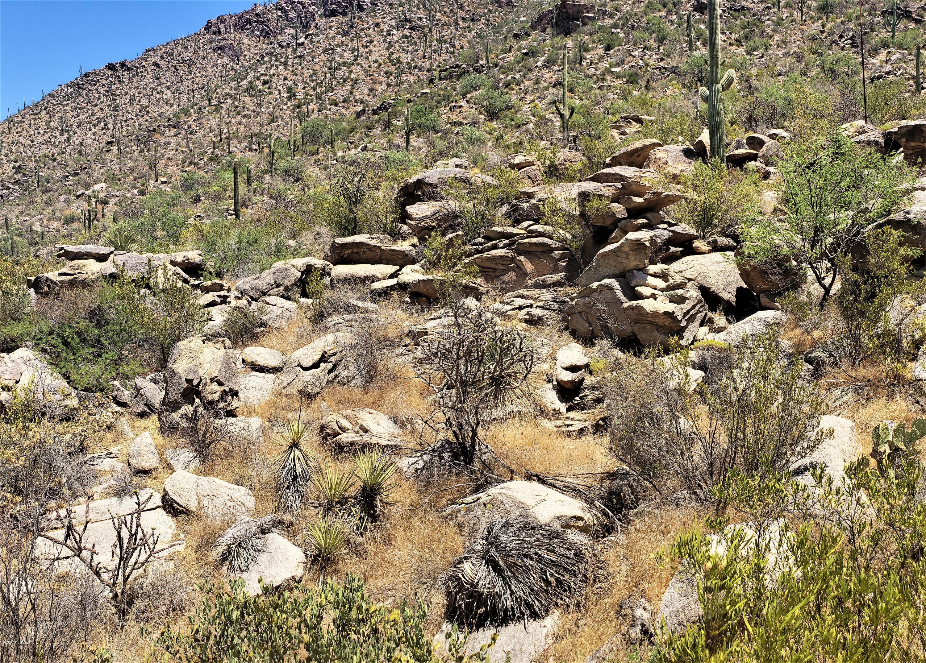 Canyon Pass II At Dove Mountain (49-110) - Land