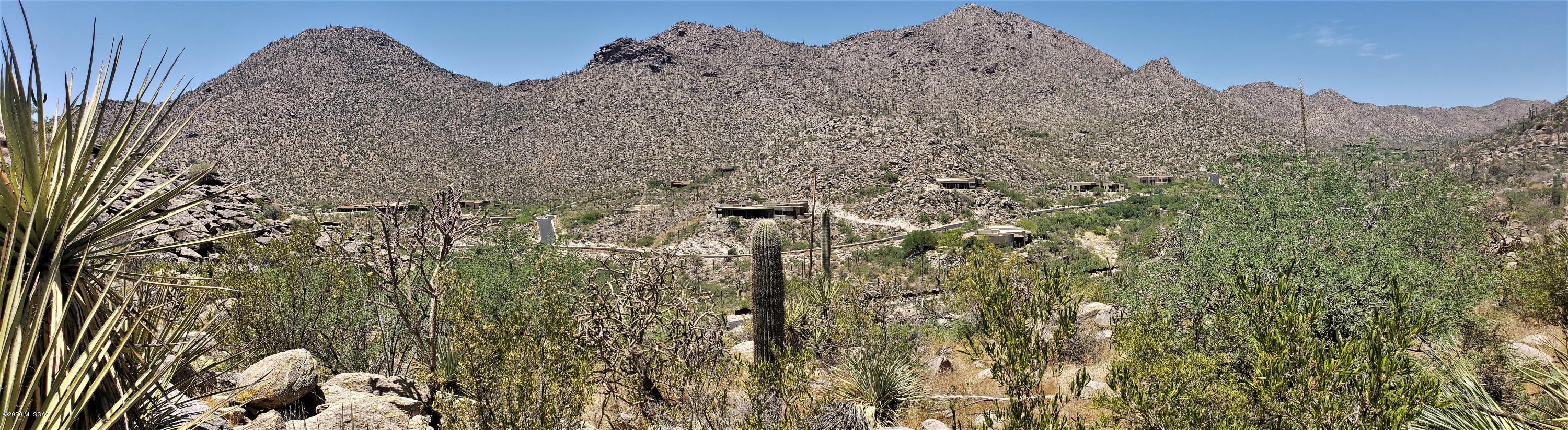 Canyon Pass II At Dove Mountain (49-110) - Land