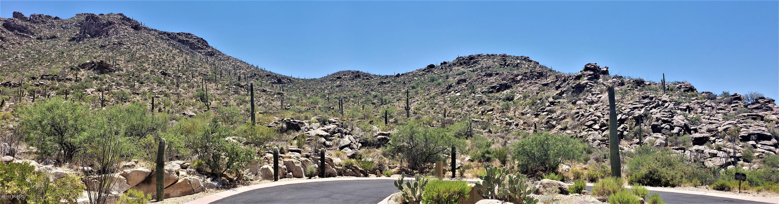 Canyon Pass II At Dove Mountain (49-110) - Land