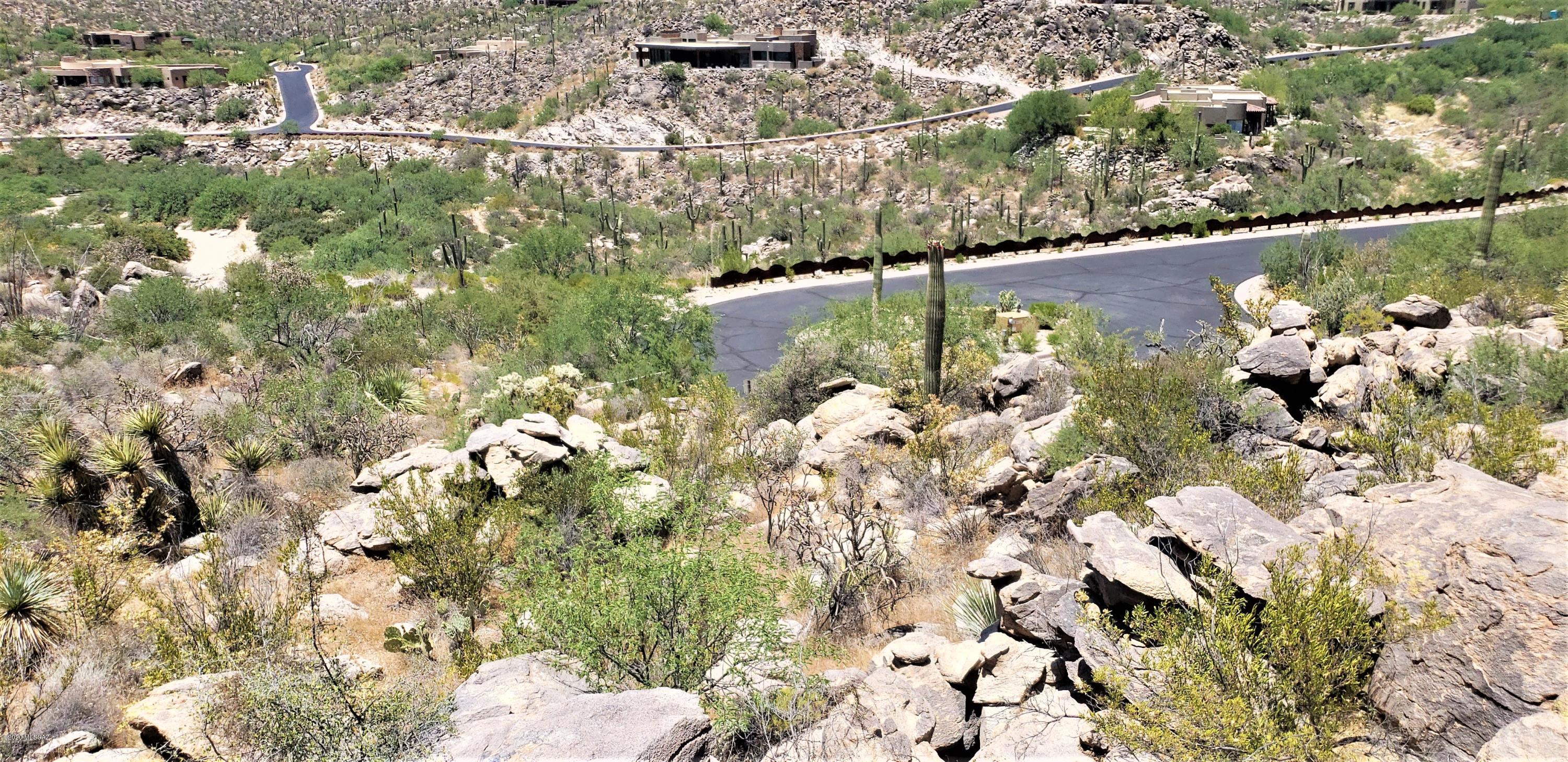 Canyon Pass II At Dove Mountain (49-110) - Land