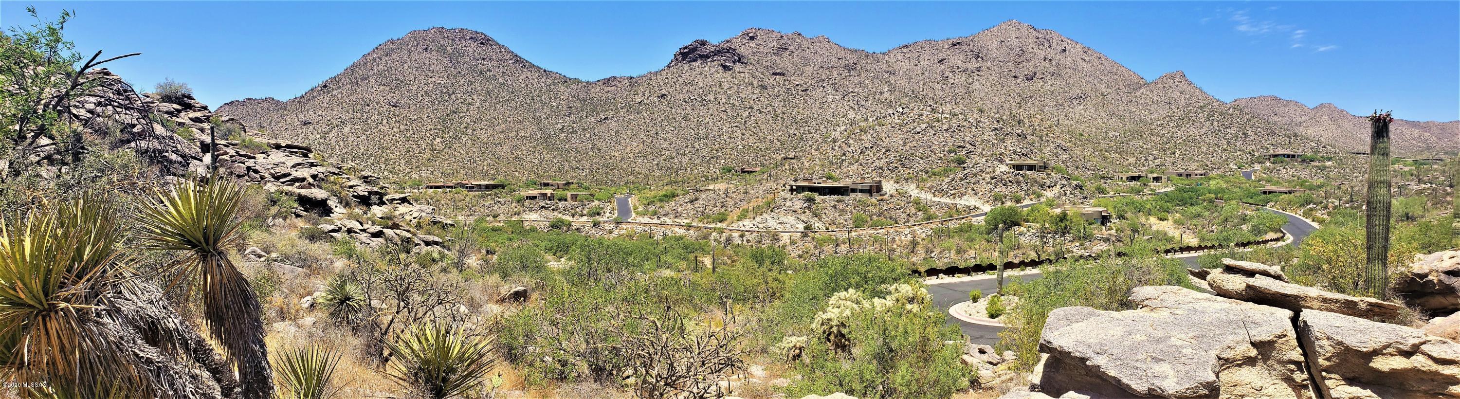 Canyon Pass II At Dove Mountain (49-110) - Land
