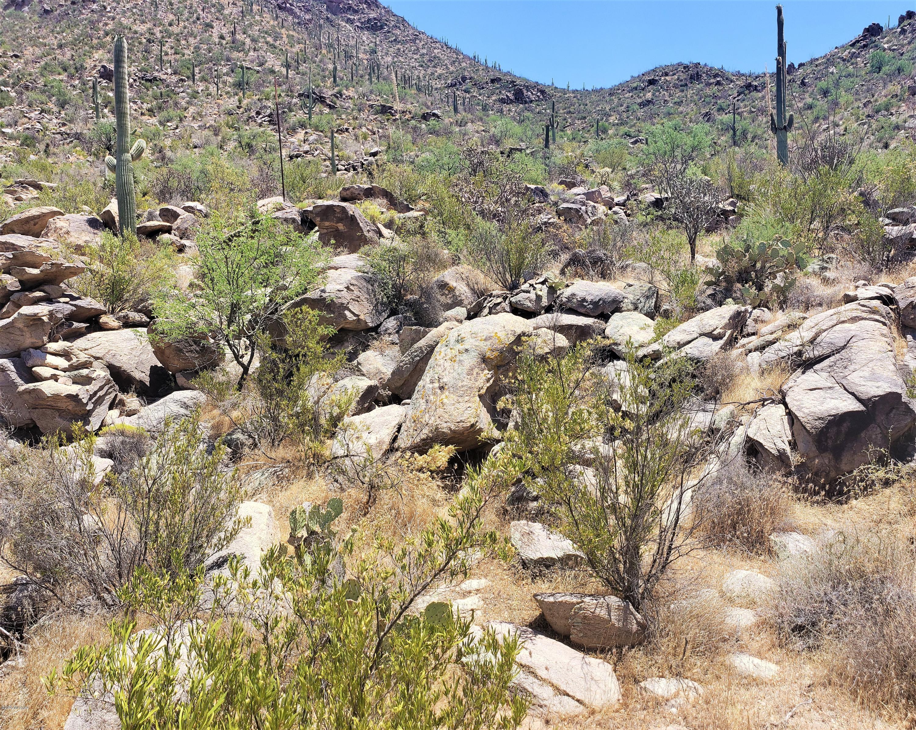 Canyon Pass II At Dove Mountain (49-110) - Land
