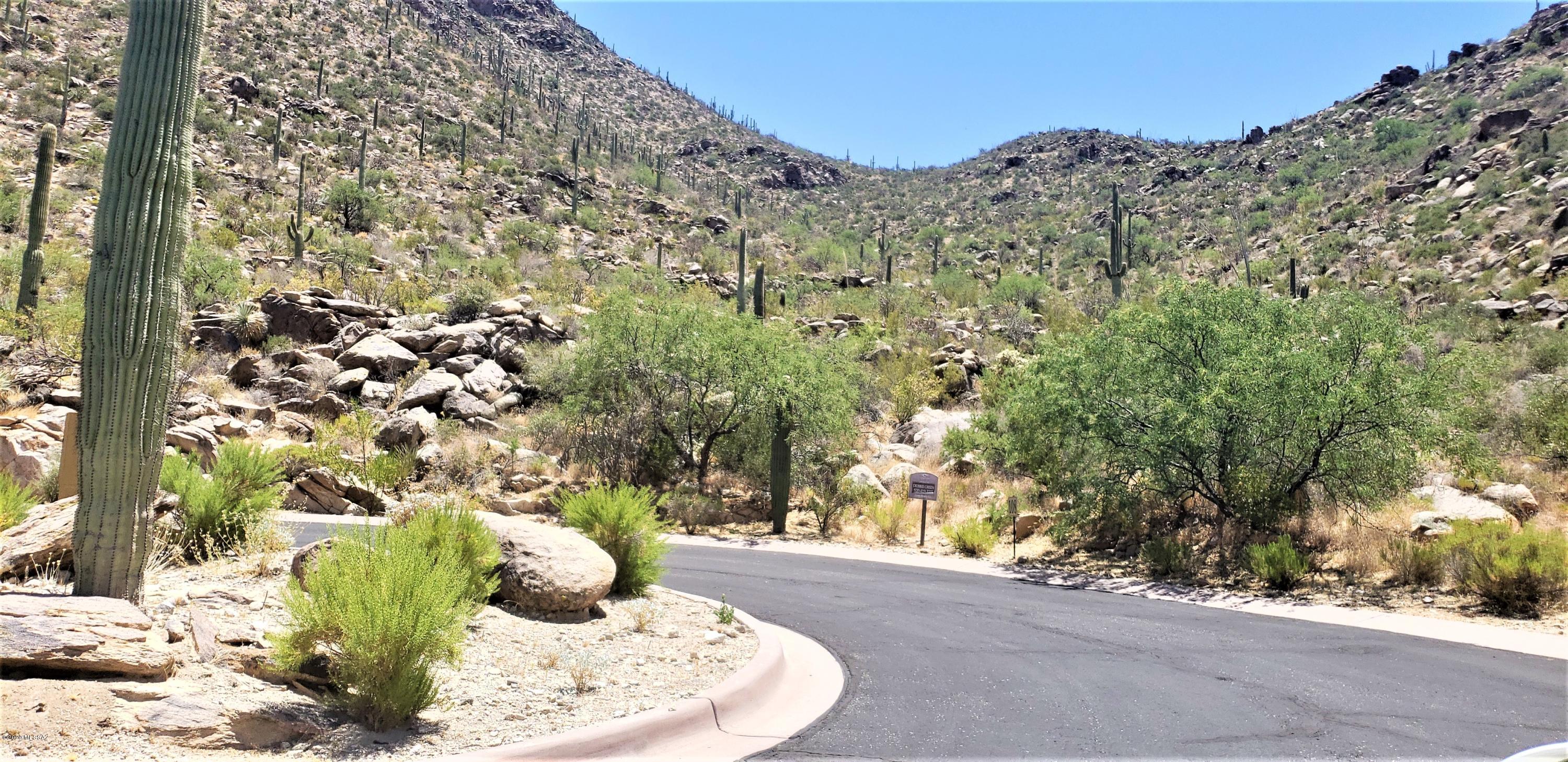Canyon Pass II At Dove Mountain (49-110) - Land