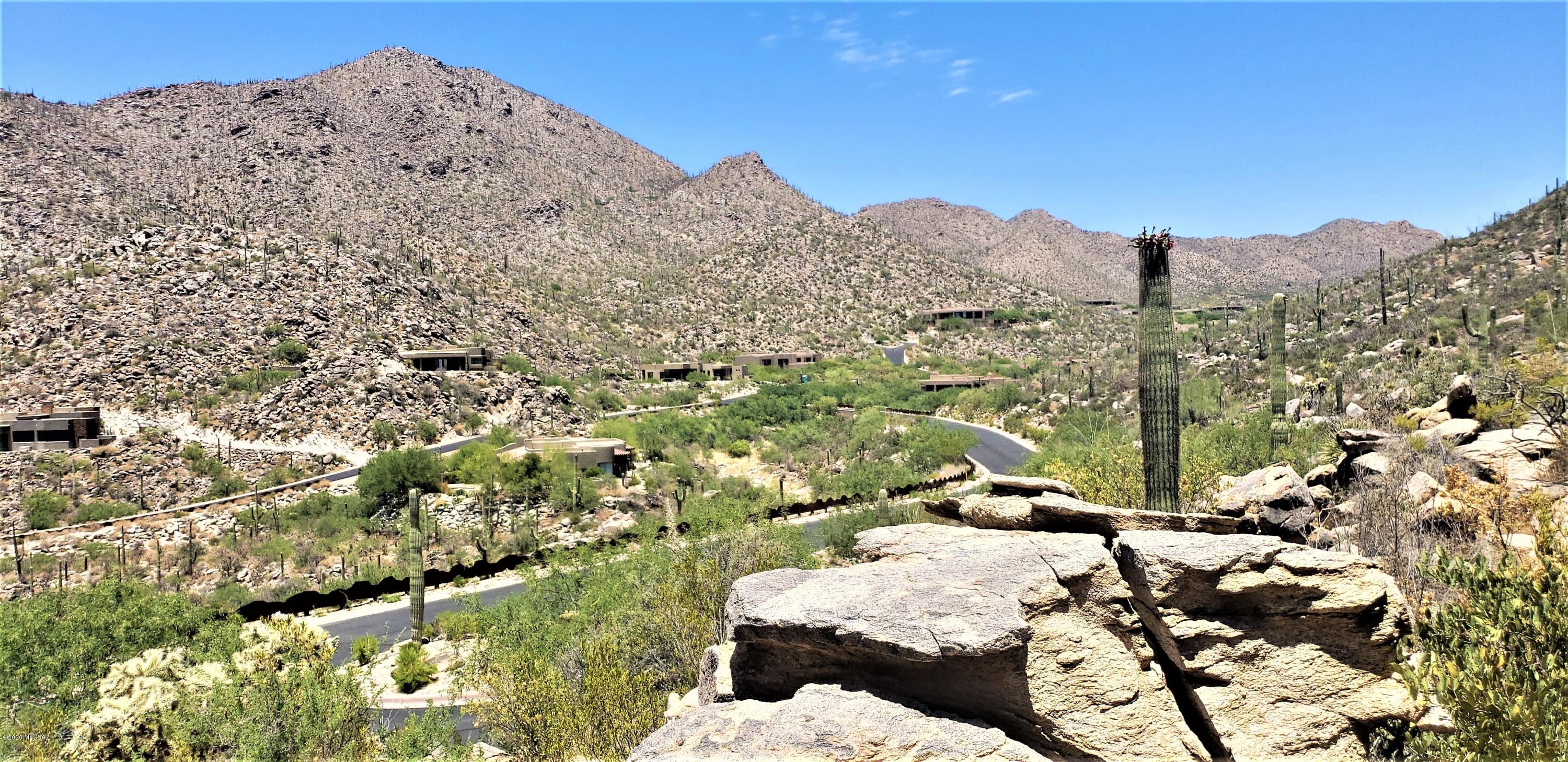 Canyon Pass II At Dove Mountain (49-110) - Land