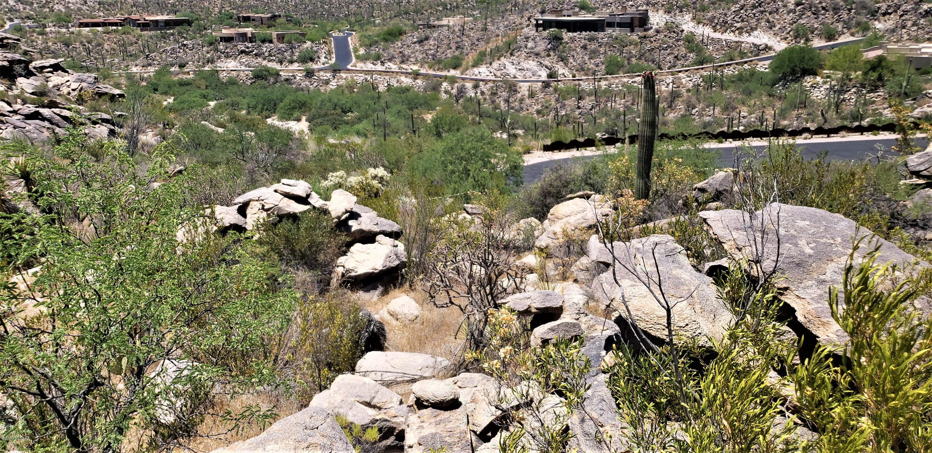 Canyon Pass II At Dove Mountain (49-110) - Land
