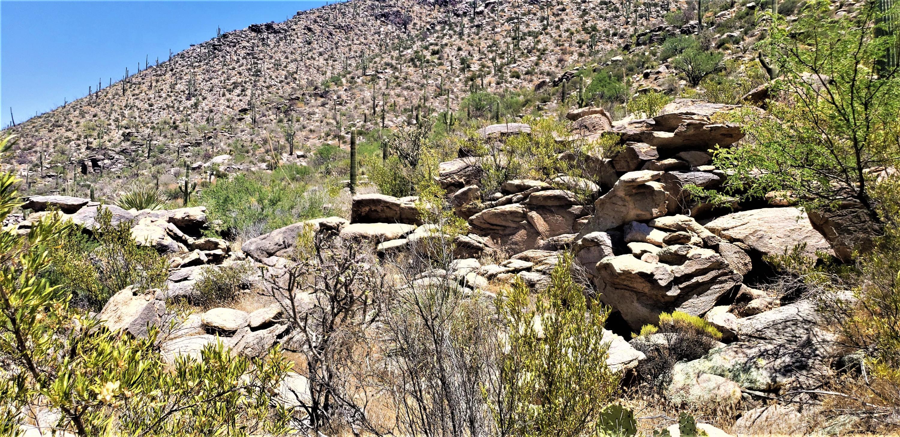 Canyon Pass II At Dove Mountain (49-110) - Land