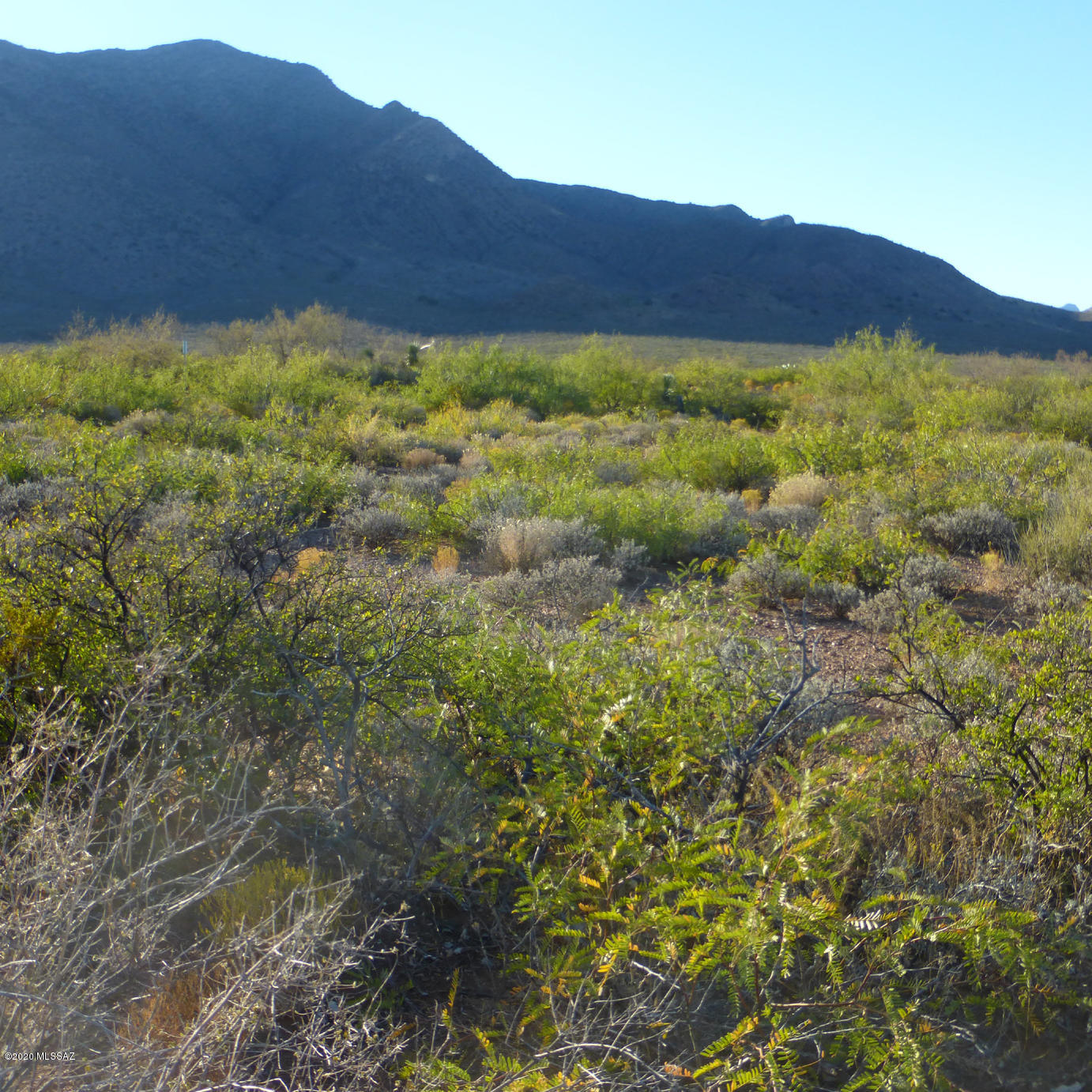 Out Of Pima County - Land