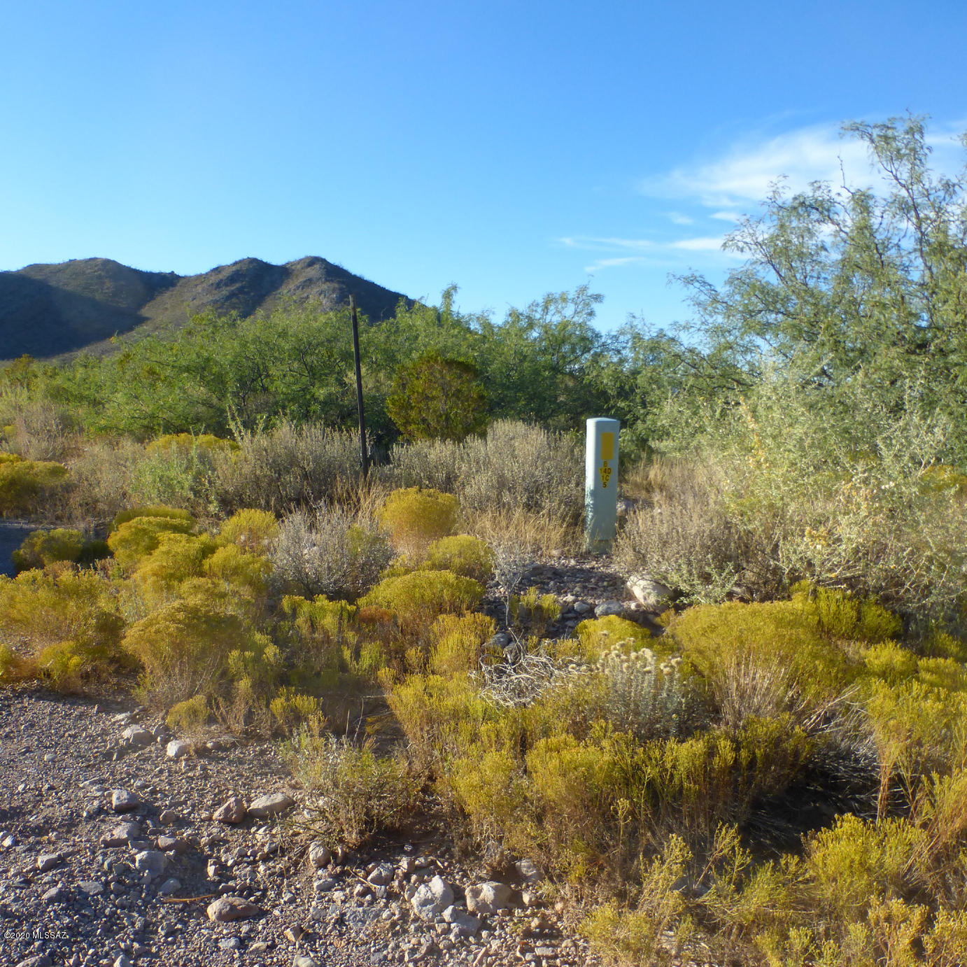 Out Of Pima County - Land