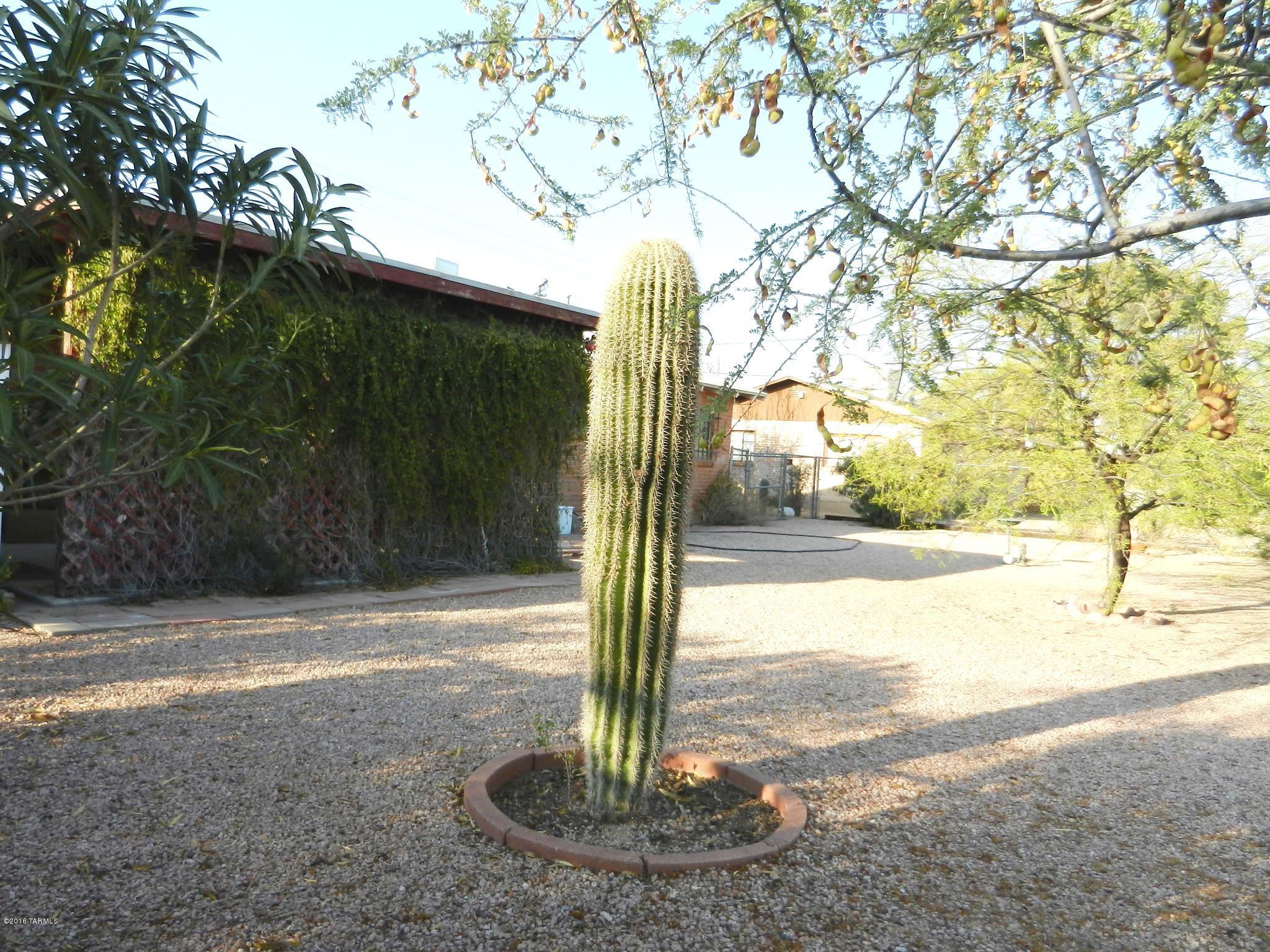Palo Verde Amended - Residential