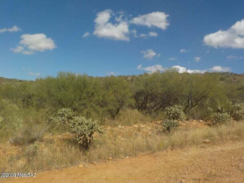 Great view lot at an affordable price and near the Interstate 19. Build your dream home in this serene desert surrounded by breathtaking views of the nearby mountain ranges. An electric pole is nearby. Just minutes away from shopping, and restaurants.