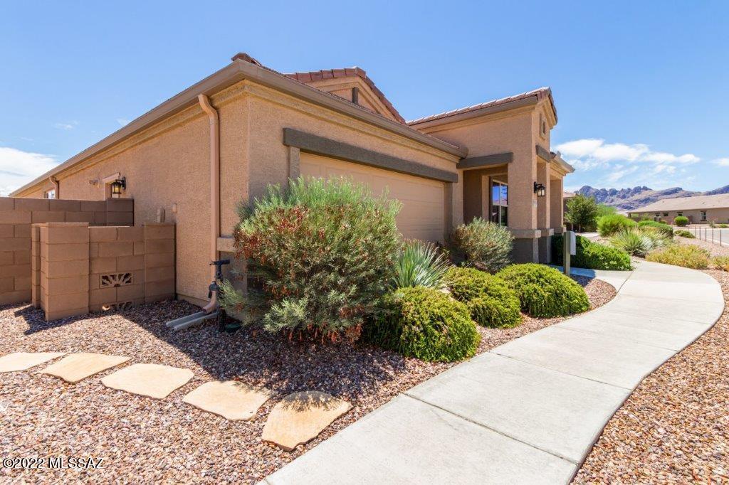 Saguaro Bloom SQ20180540069 - Residential