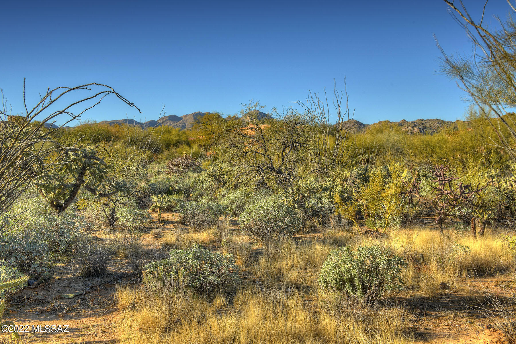 Stone Canyon I - Land